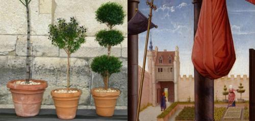 Image for *The Medieval Garden Enclosed*—The Art of Topiary