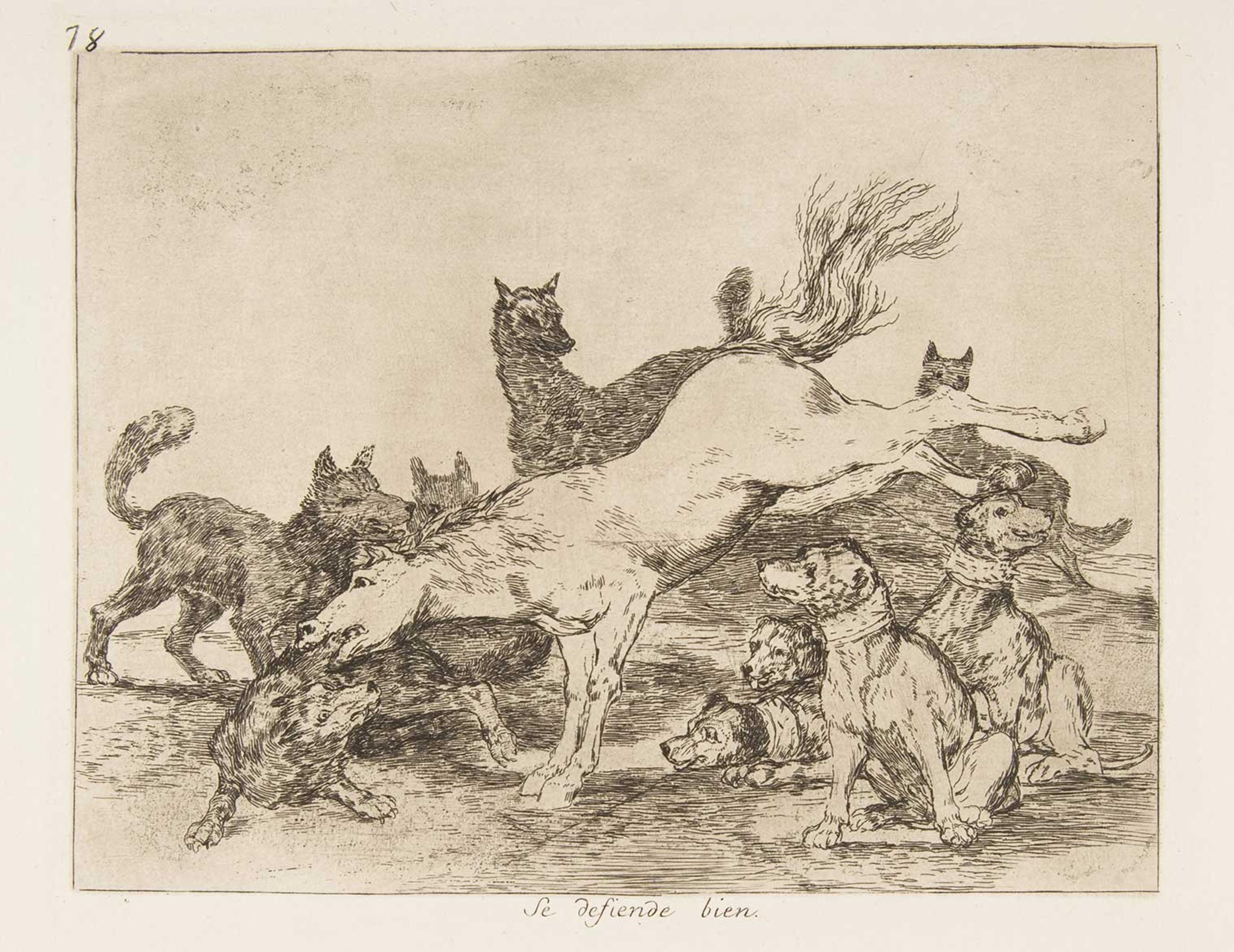 Drawing of a horse being attacked by wolves