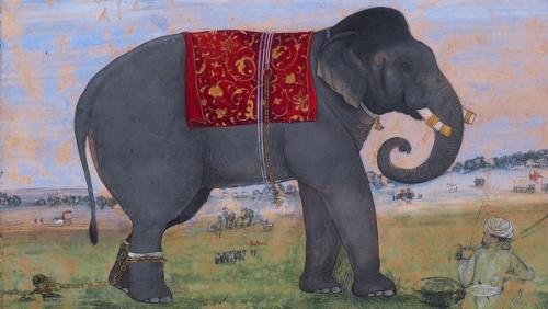 Image for Elephant Soul, Indian Brush