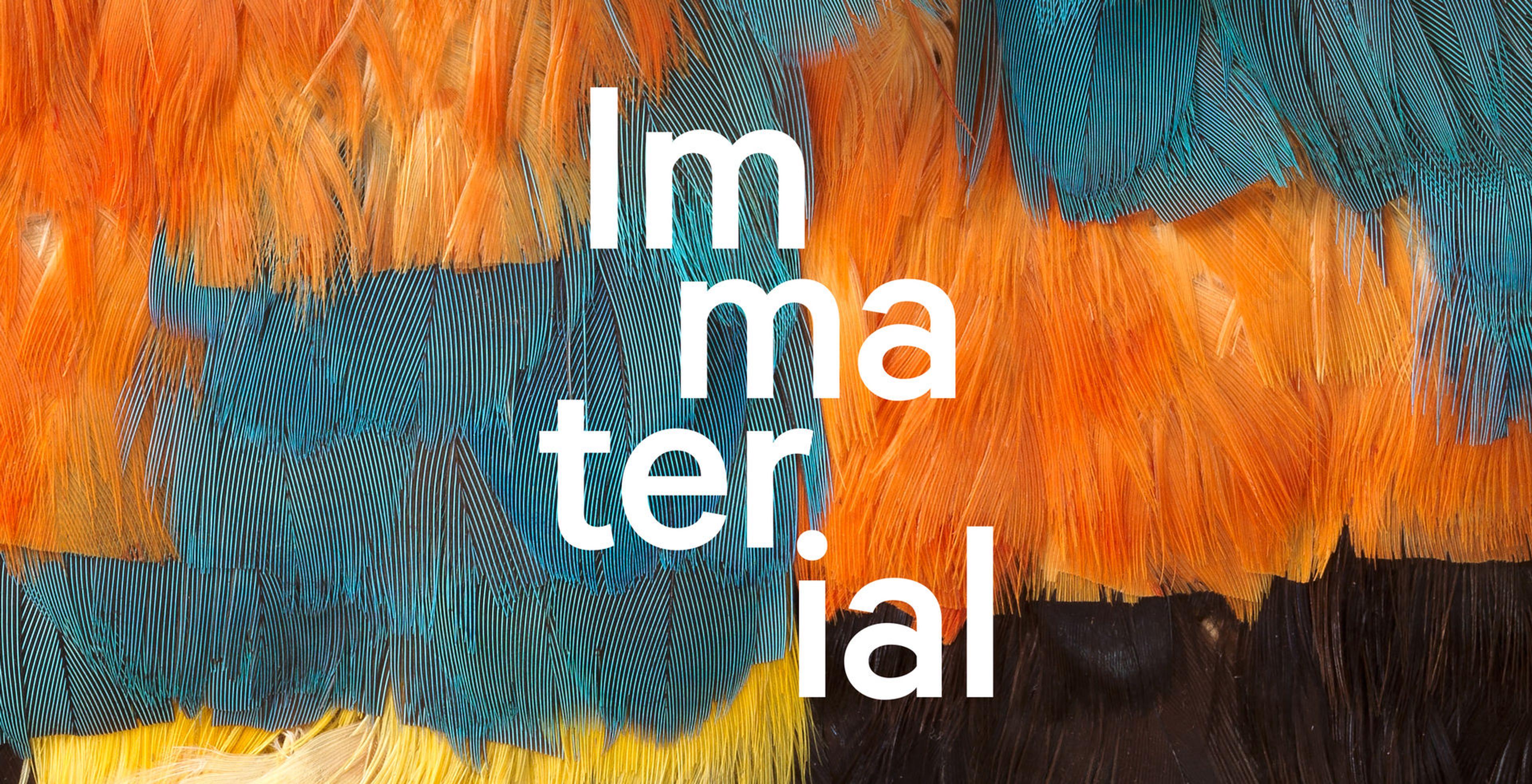 White "Immaterial" logo text superimposed on a close-up of colorful feathers.