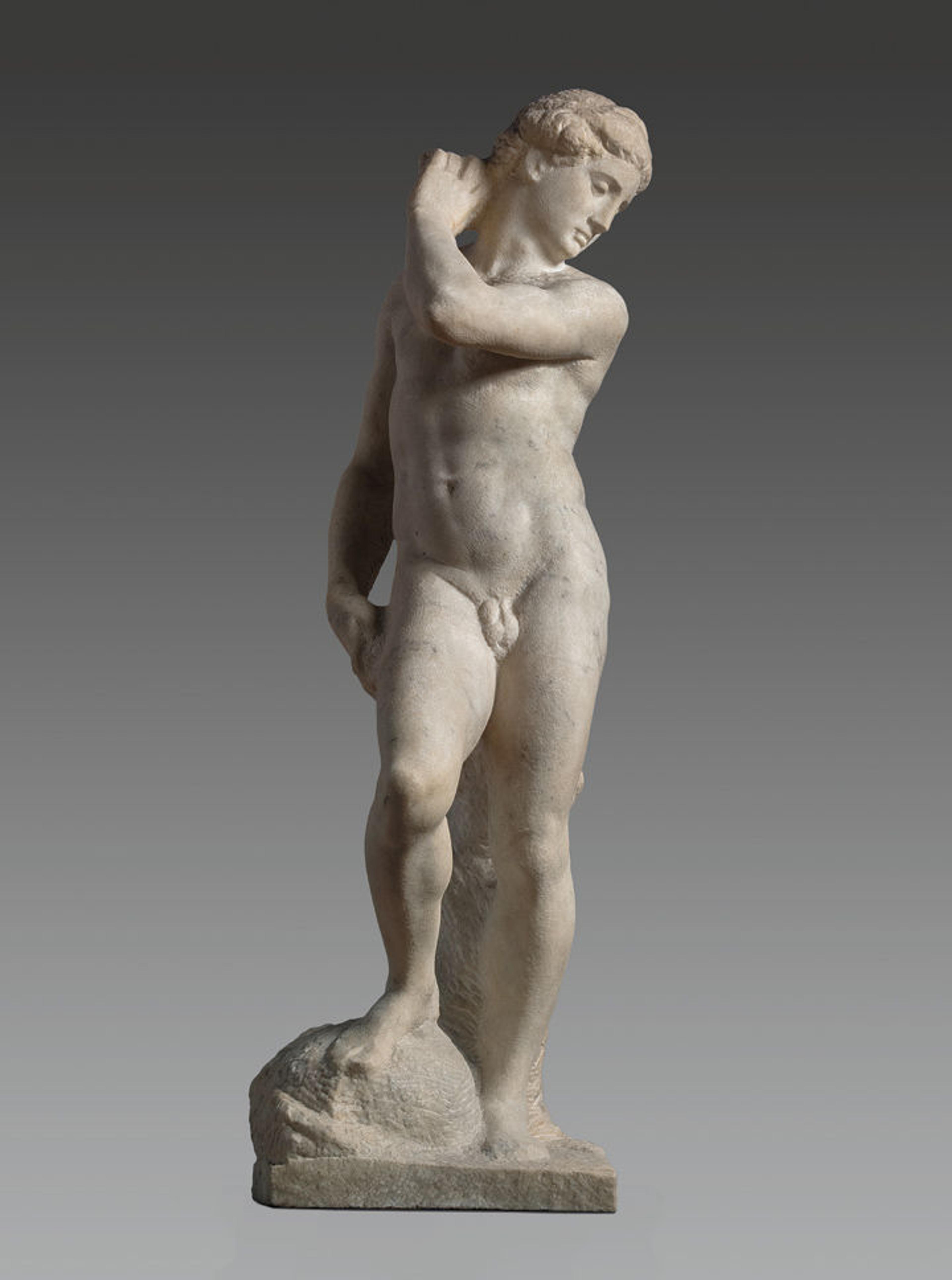 View of Michelangelo's marble sculpture David-Apollo