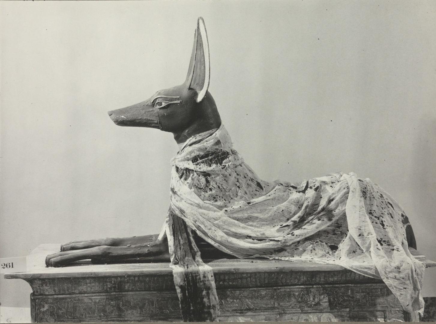 The painted wooden figure of a jackal recumbent on the top of a shrine, wrapped in a fine linen shawl that goes around its neck and over its body.