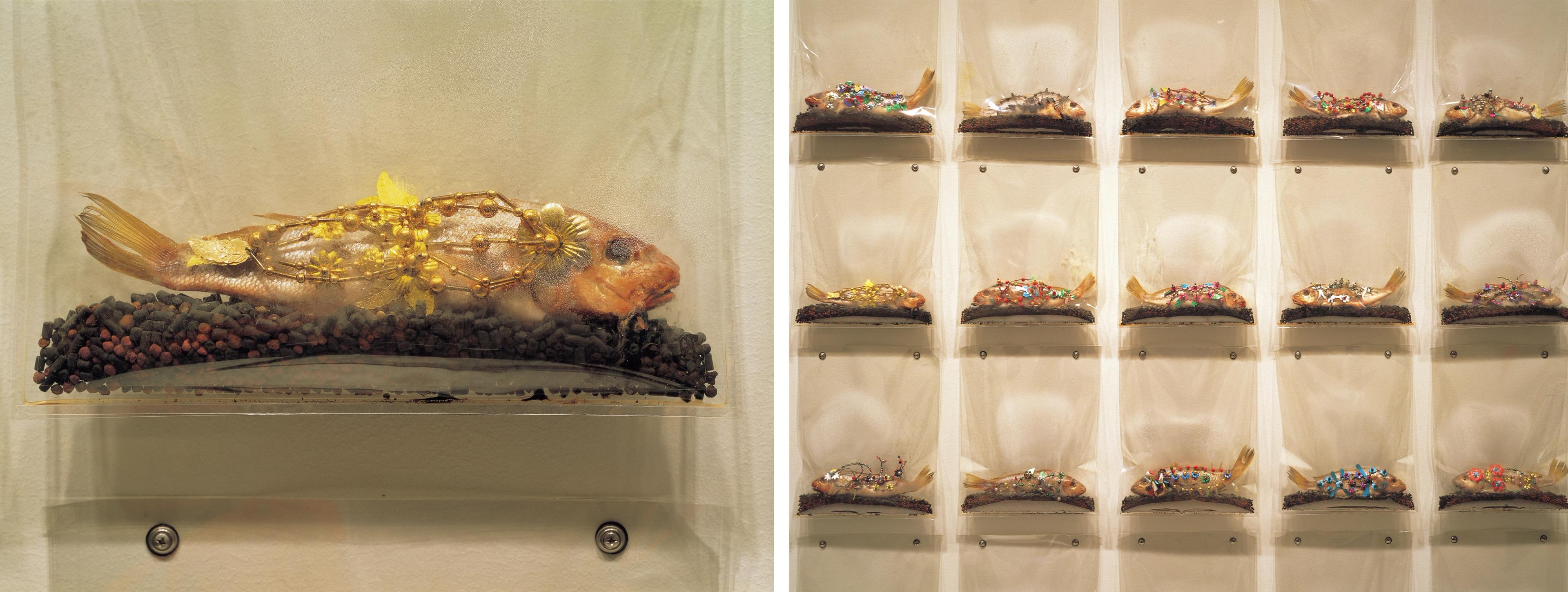 Composite image of an array of fish on display