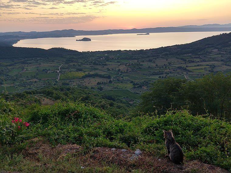 Montefiascone Conservation Project 11