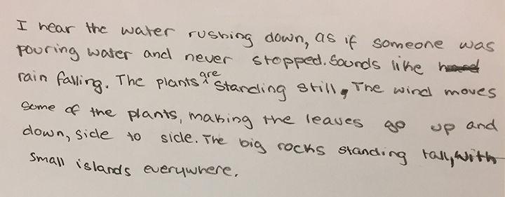 Poem written by Dominga, age 12