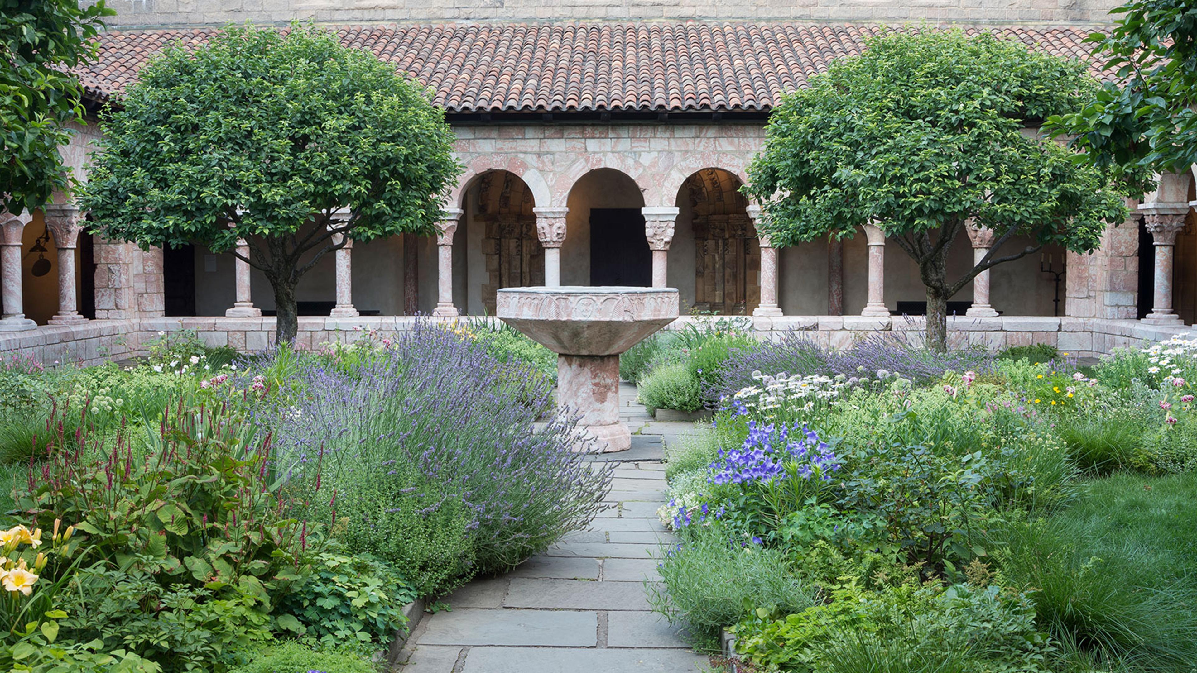 The Cloisters gardens blooming with trees, shrubs, and purple, yellow, and white flowers.