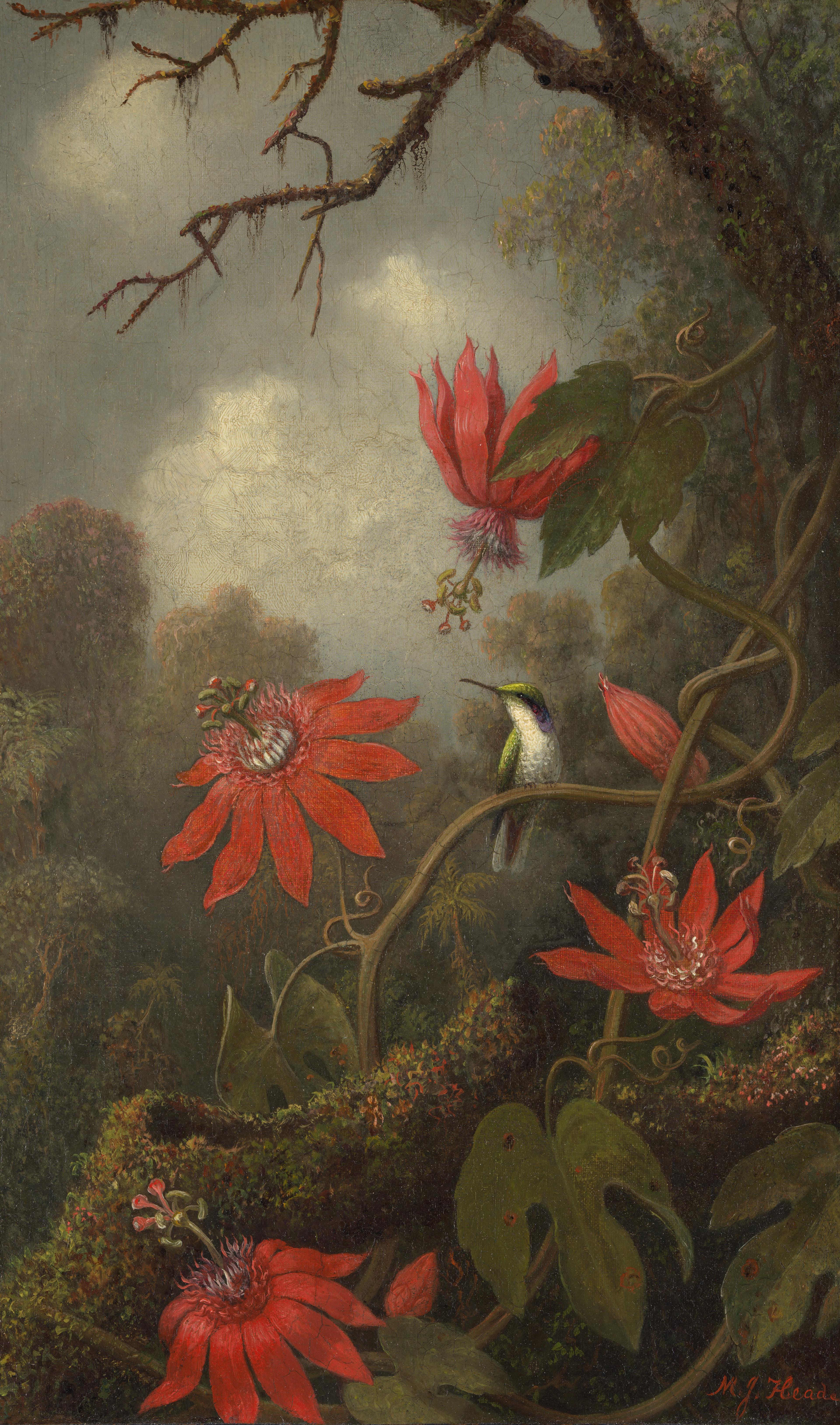 Painting of a lush tropical landscape with a hummingbird perched on a vine with red flowers in bloom.