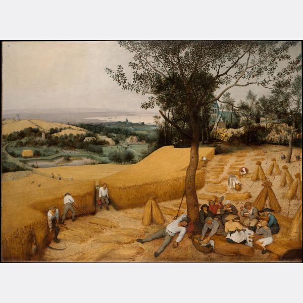 Cover Image for 5179. The Harvesters