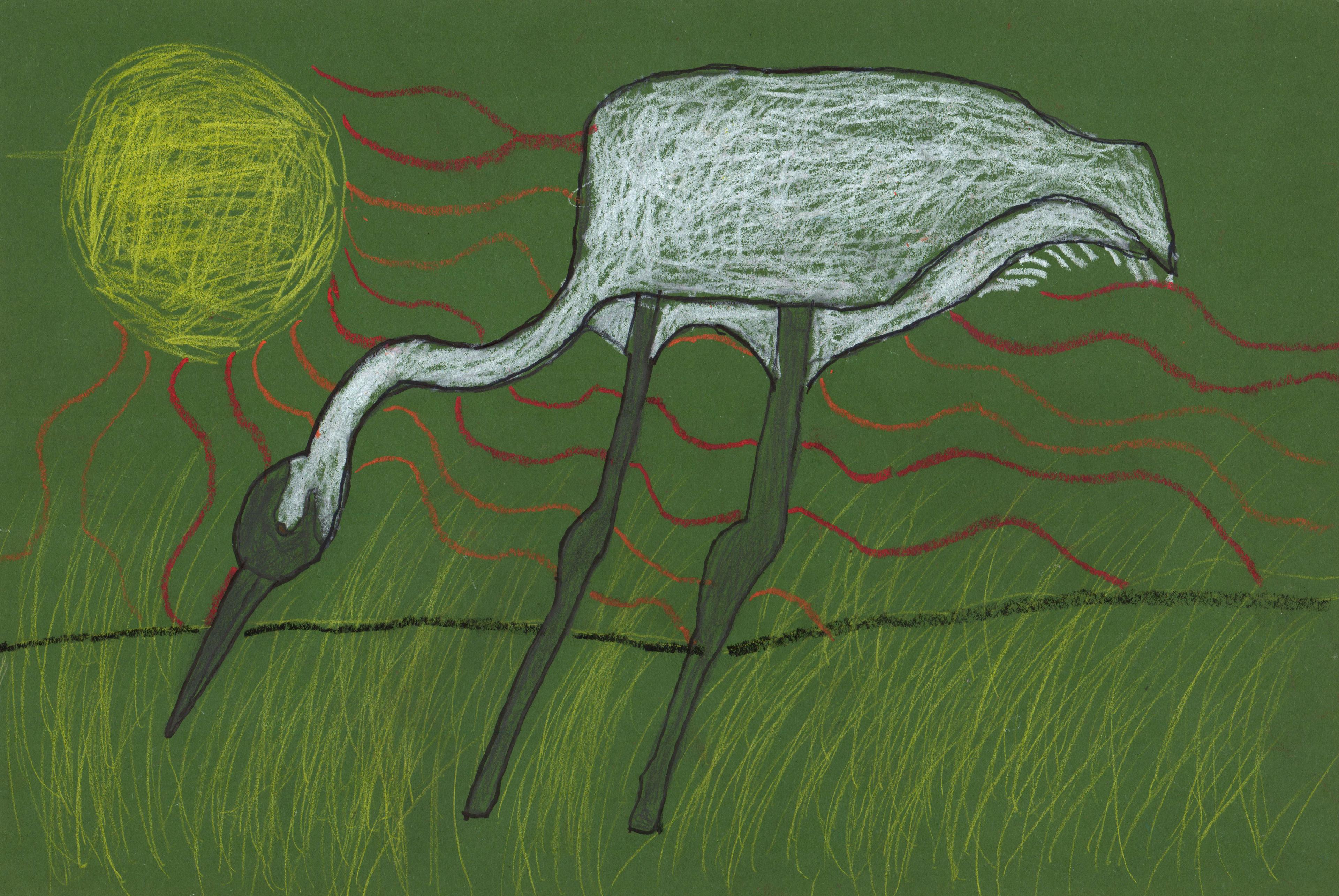 Graphite-and–oil pastel drawing of white crane with a dark beak and dark thin legs standing in a field of green grass. Its long neck is bent and its beak is pointed down to the grass. A large yellow sun shines overhead and to the left in a green sky that is the same color as the grass.