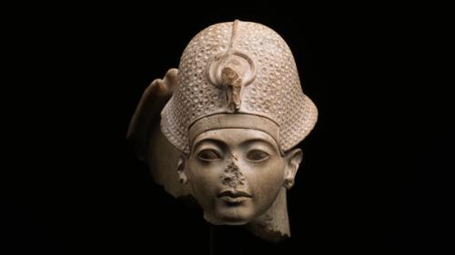 Image for Tutankhamun 100