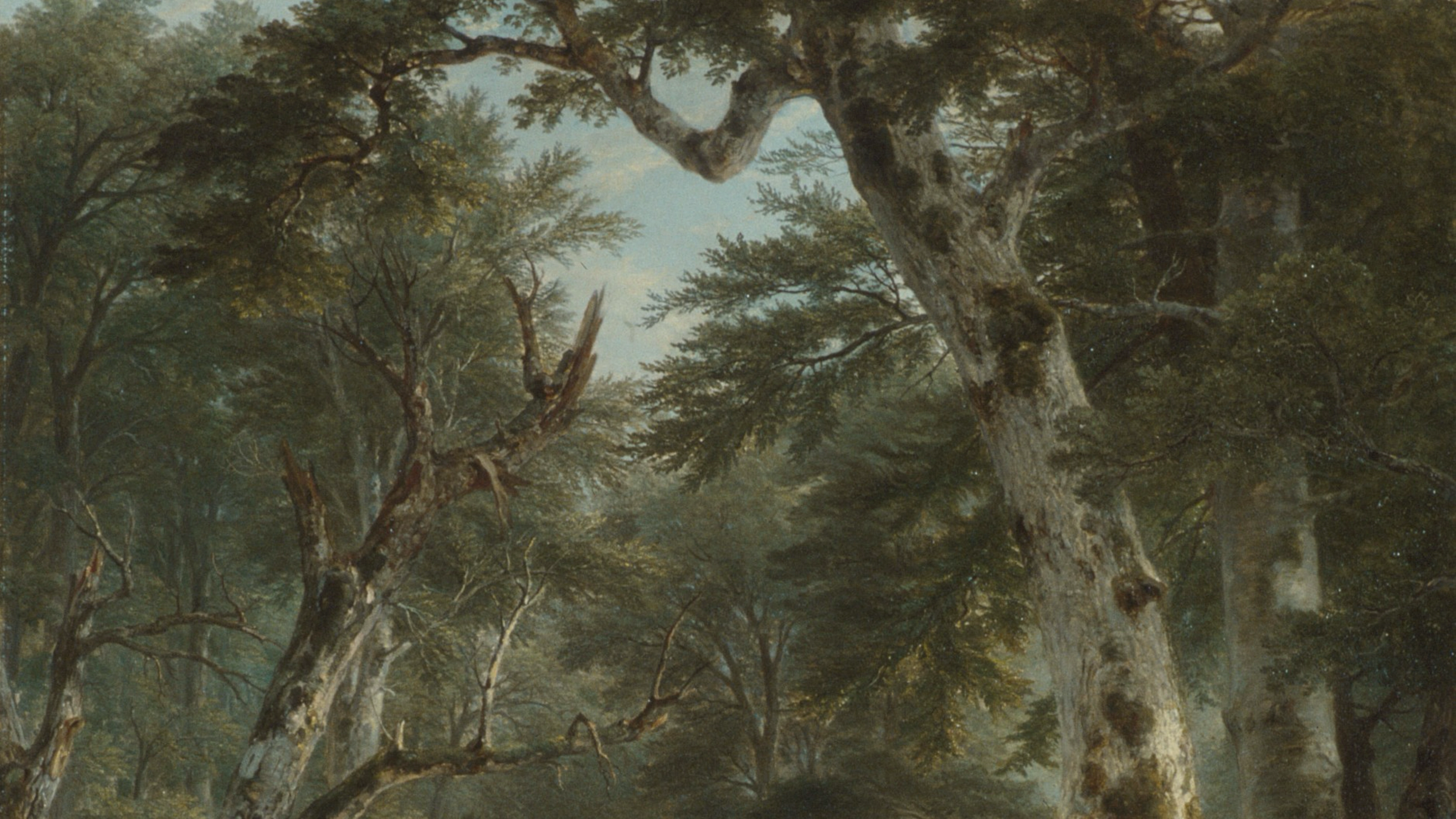 Landscape painting 
