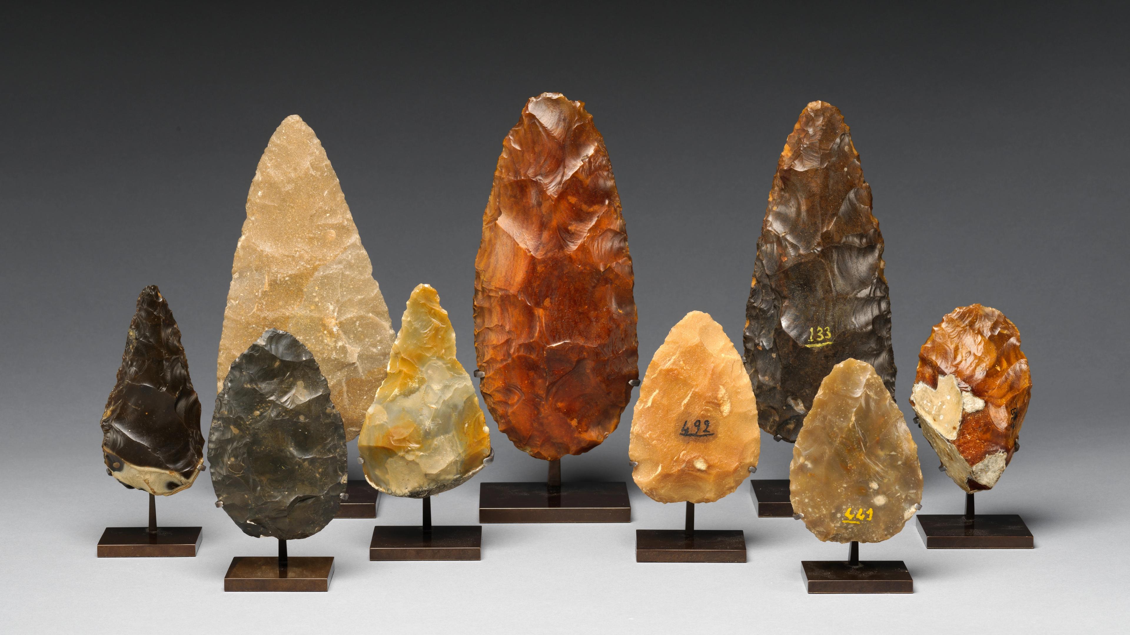 Set of nine bifaces, carved delicately into spears, placed upright against a gray background.