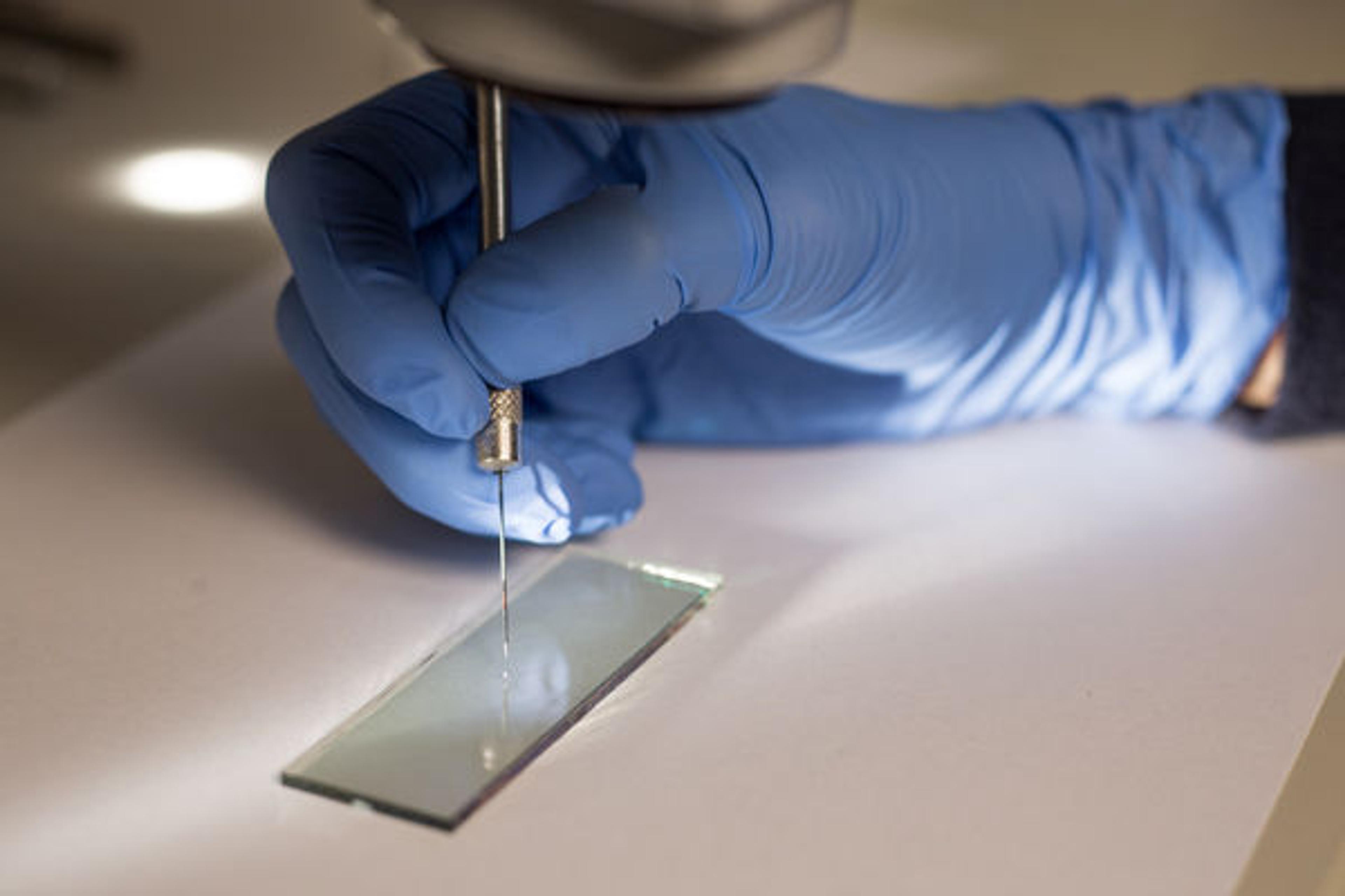 Paint sample on glass slide