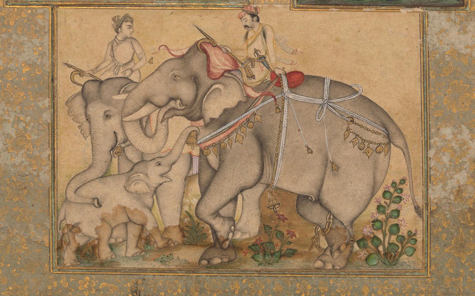 A light shaded gathering of elephtants, with a man and woman riding on the backs of the elephants.