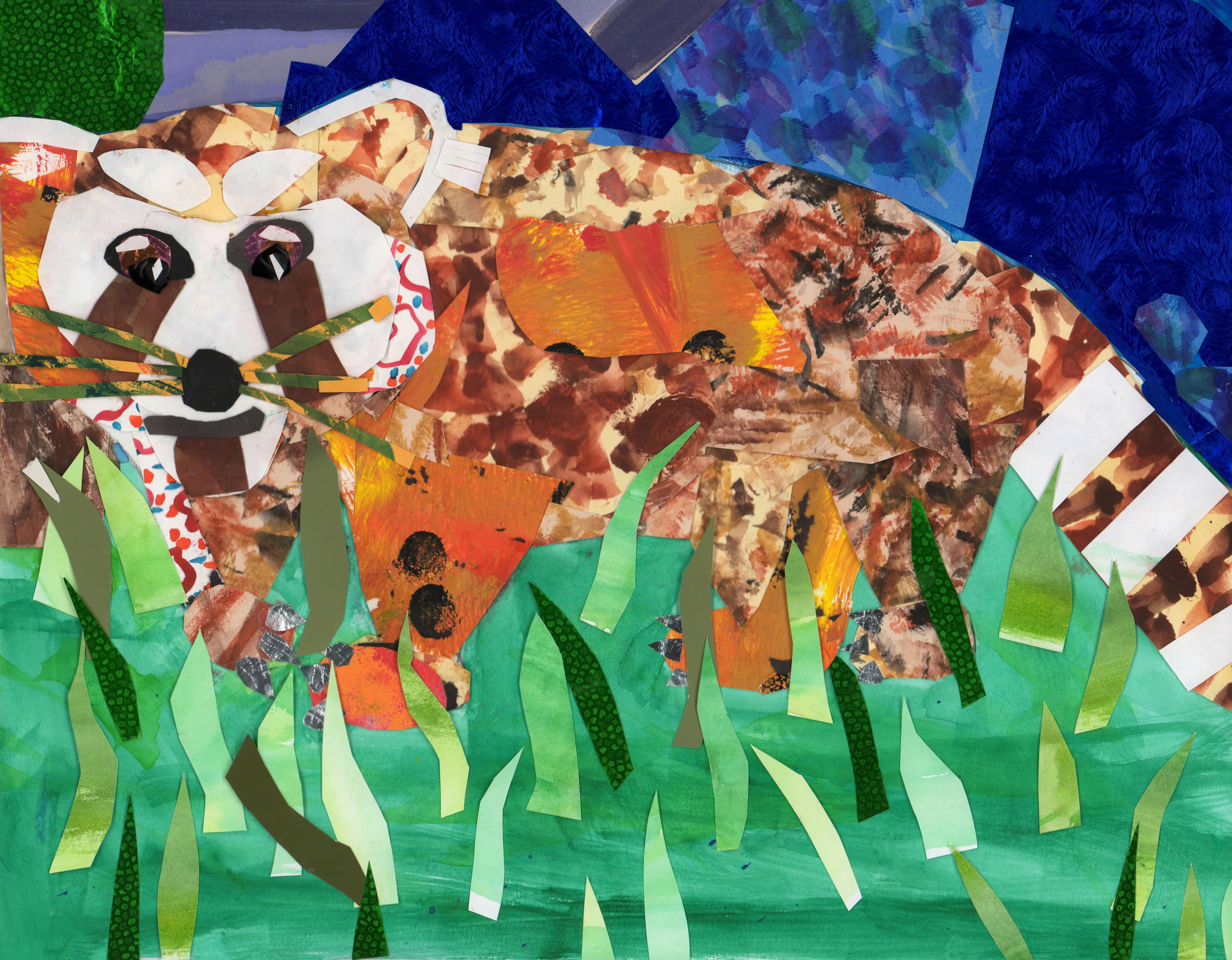 Illustration of a red panda crouched in tall green blades of grass created with collaged painted paper. The panda's body faces left with its eyes facing the viewer. The image is composed of colored and textured paper cutouts. The panda's face is white with brown lines descending from its eyes and chin. The panda's tail is white with brown stripes. The background of the collage is a dark blue.