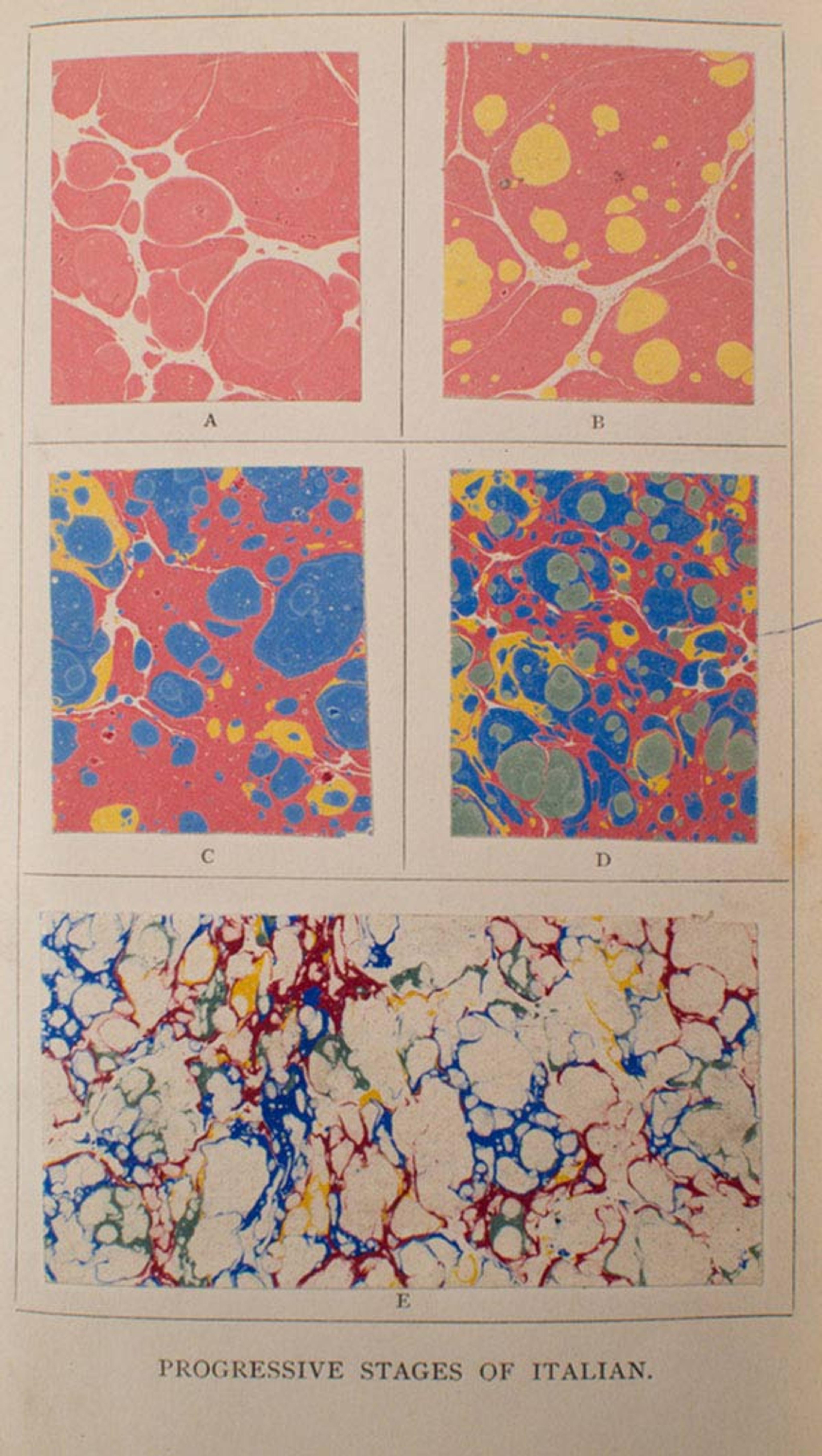 whole art of marbling as applied to paper