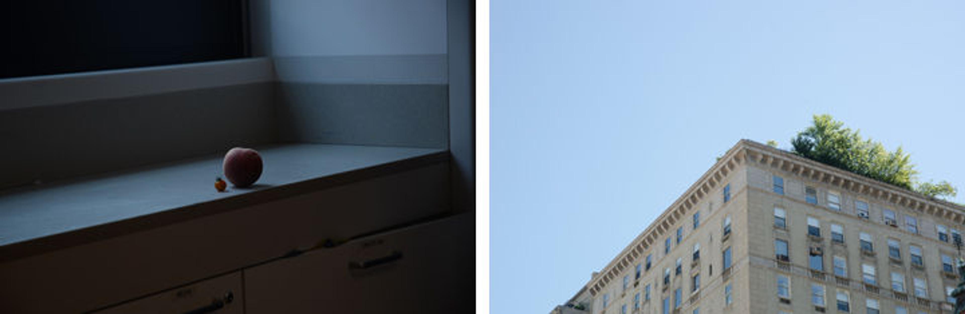 Capturing Conversation A Focus On Photo Pairing The Metropolitan Capturing Conversation A Focus On Photo Pairing The Metropolitan