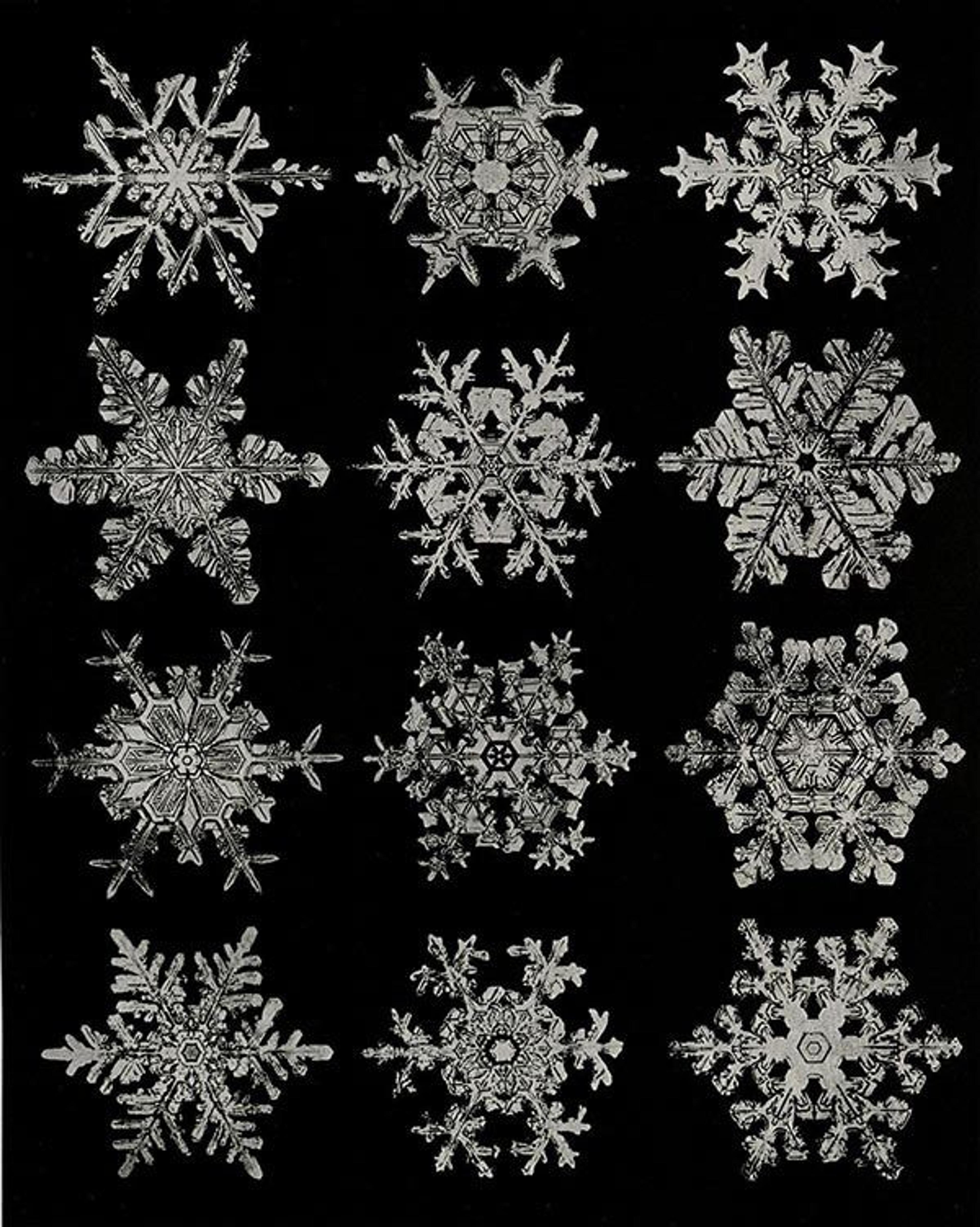 snowflakes sheet