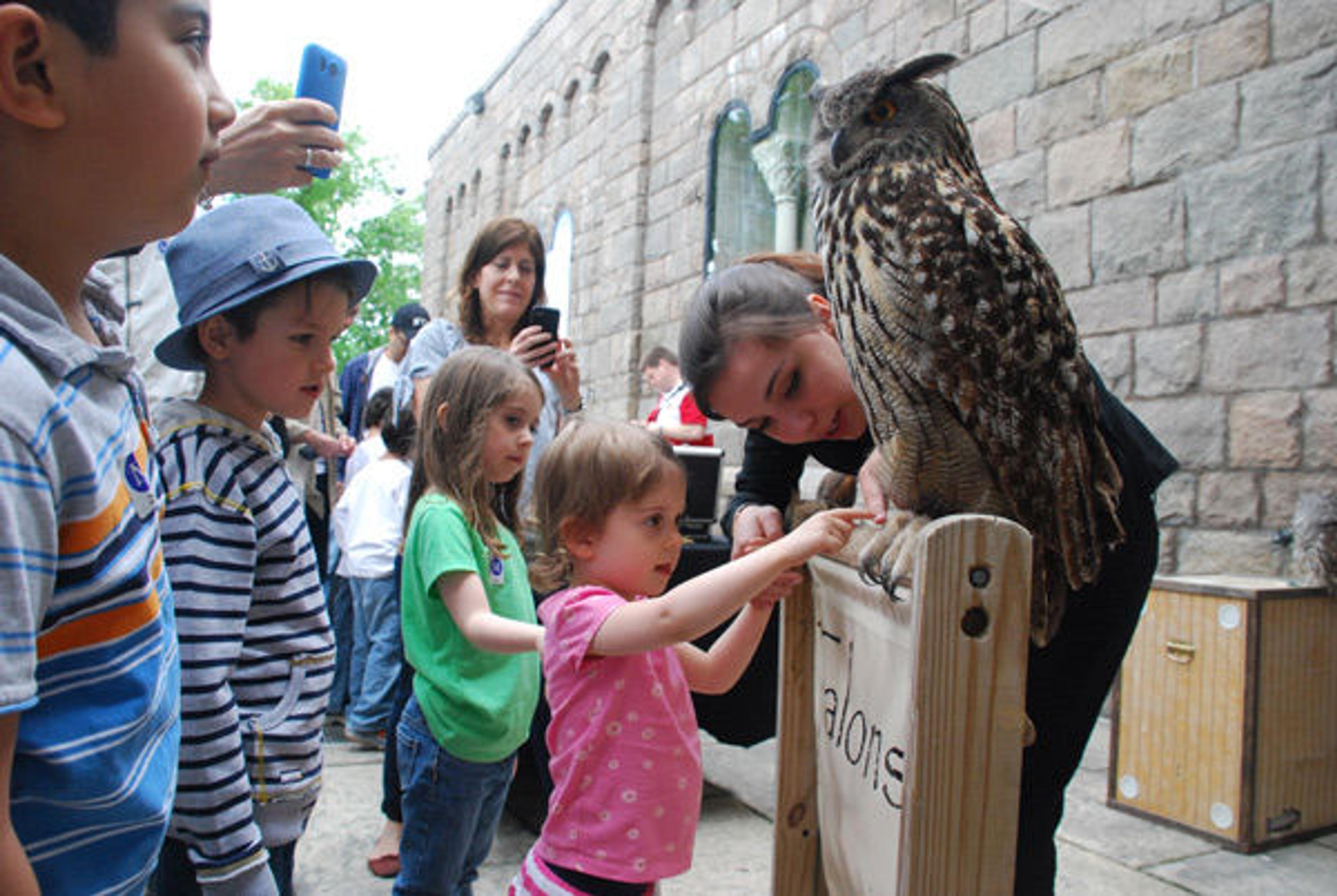 Talon Schumacher introduces young visitors to Big Mama, an European eagle owl