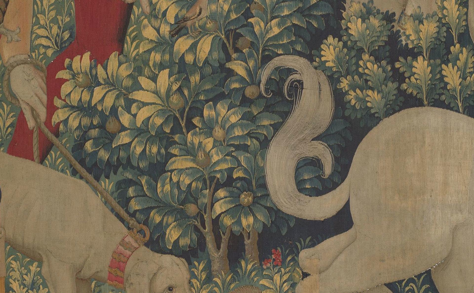 The Medieval Garden Enclosed—Rotten-ripe: The Medlar Goes Soft - The ...