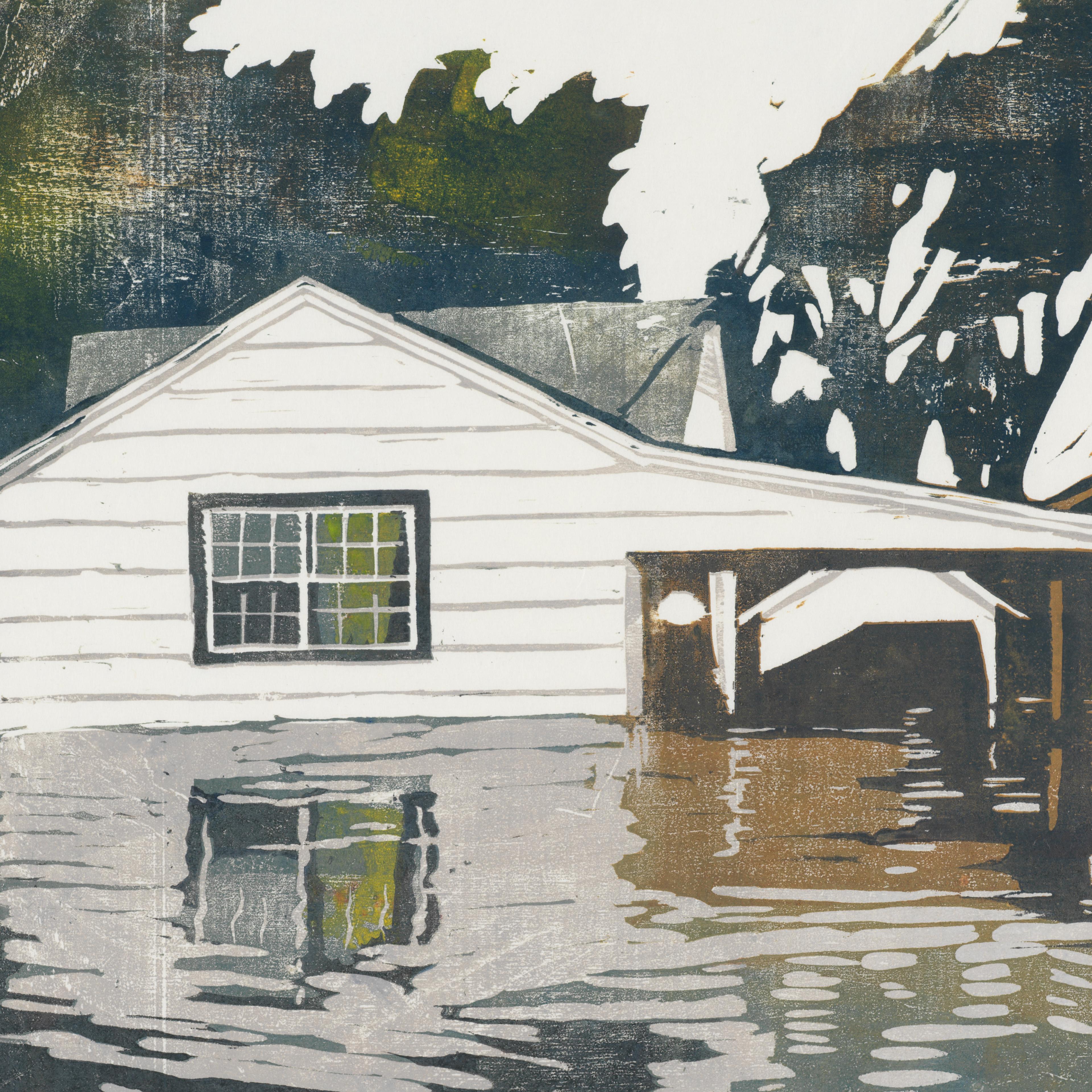 A vintage entomological illustration featuring a collection of meticulously detailed insects, including butterflies, a dragonfly, and beetles, with the artist's signature and the year 1680.