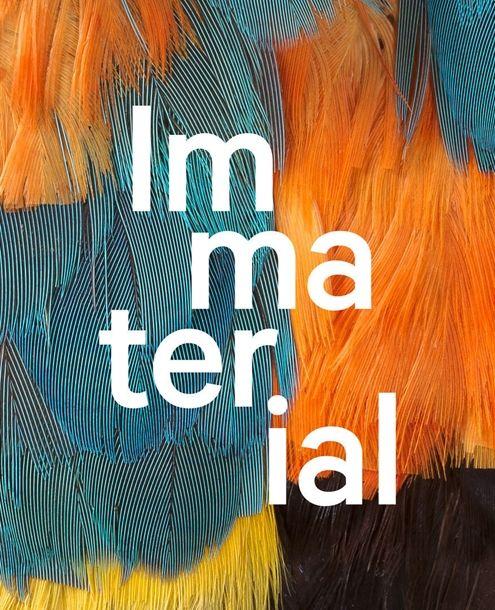 The word "Immaterial" written on top of a patchwork of feathers