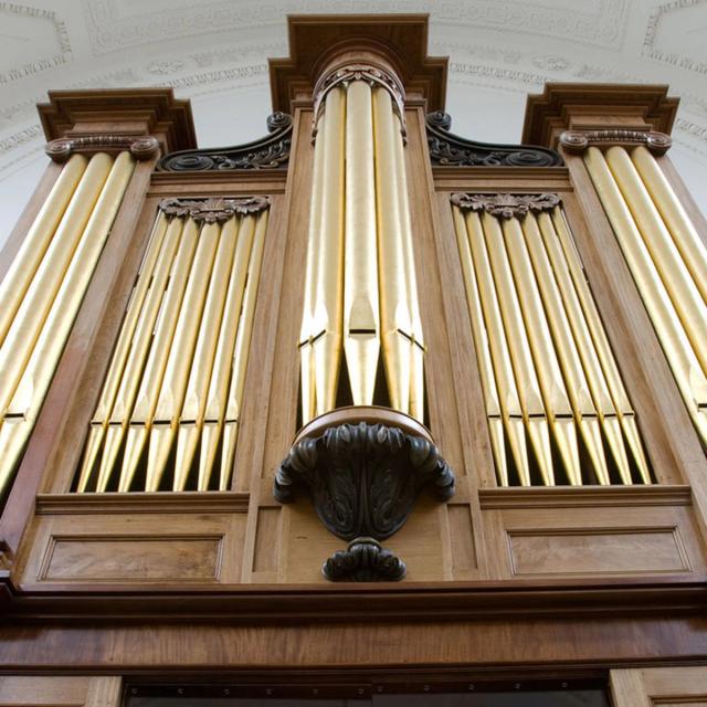 A majestic wooden pipe organ with gold pipes, viewed from below, set against an elegant, intricately designed ceiling.