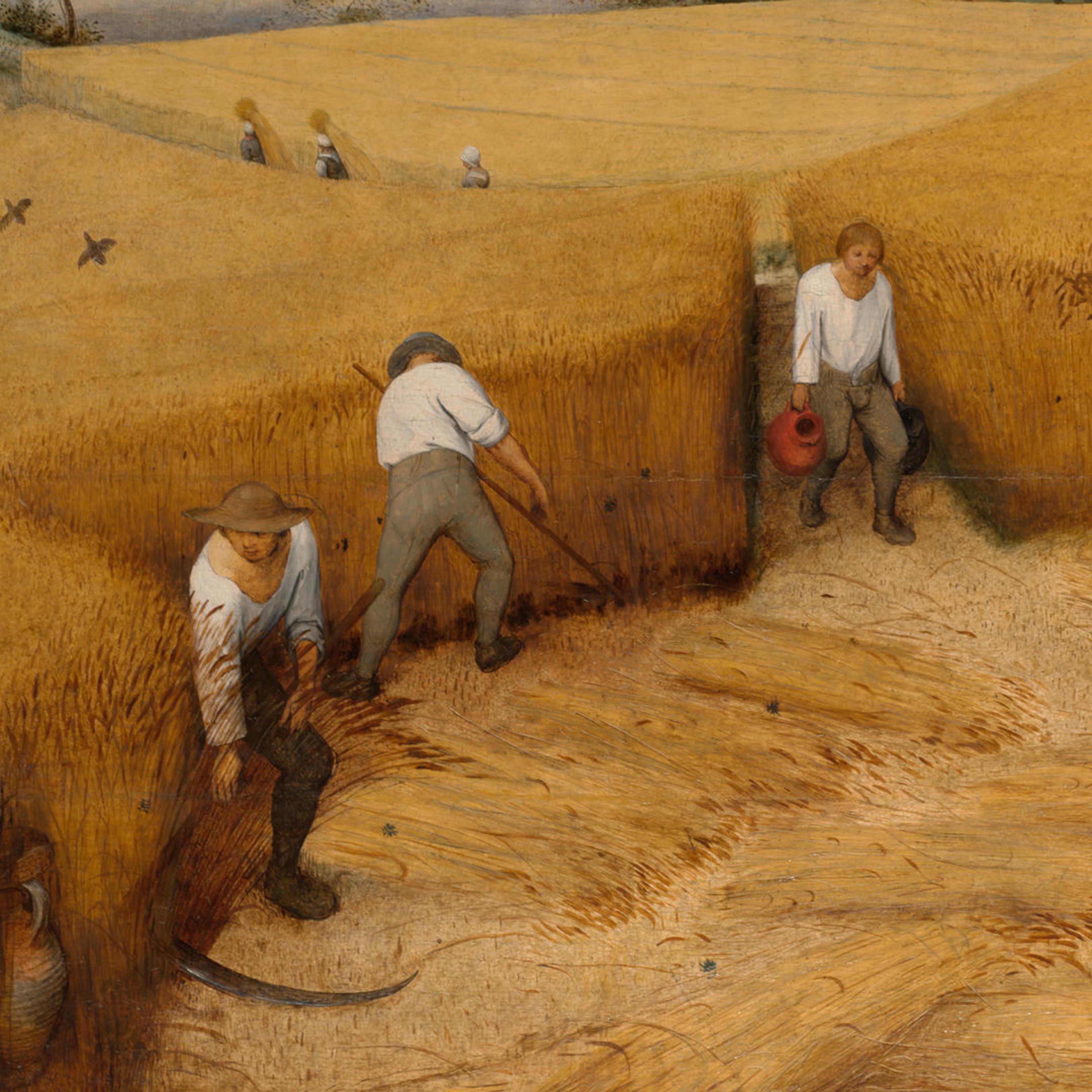 Three laborers at work harvesting fields with shades of deep yellow.