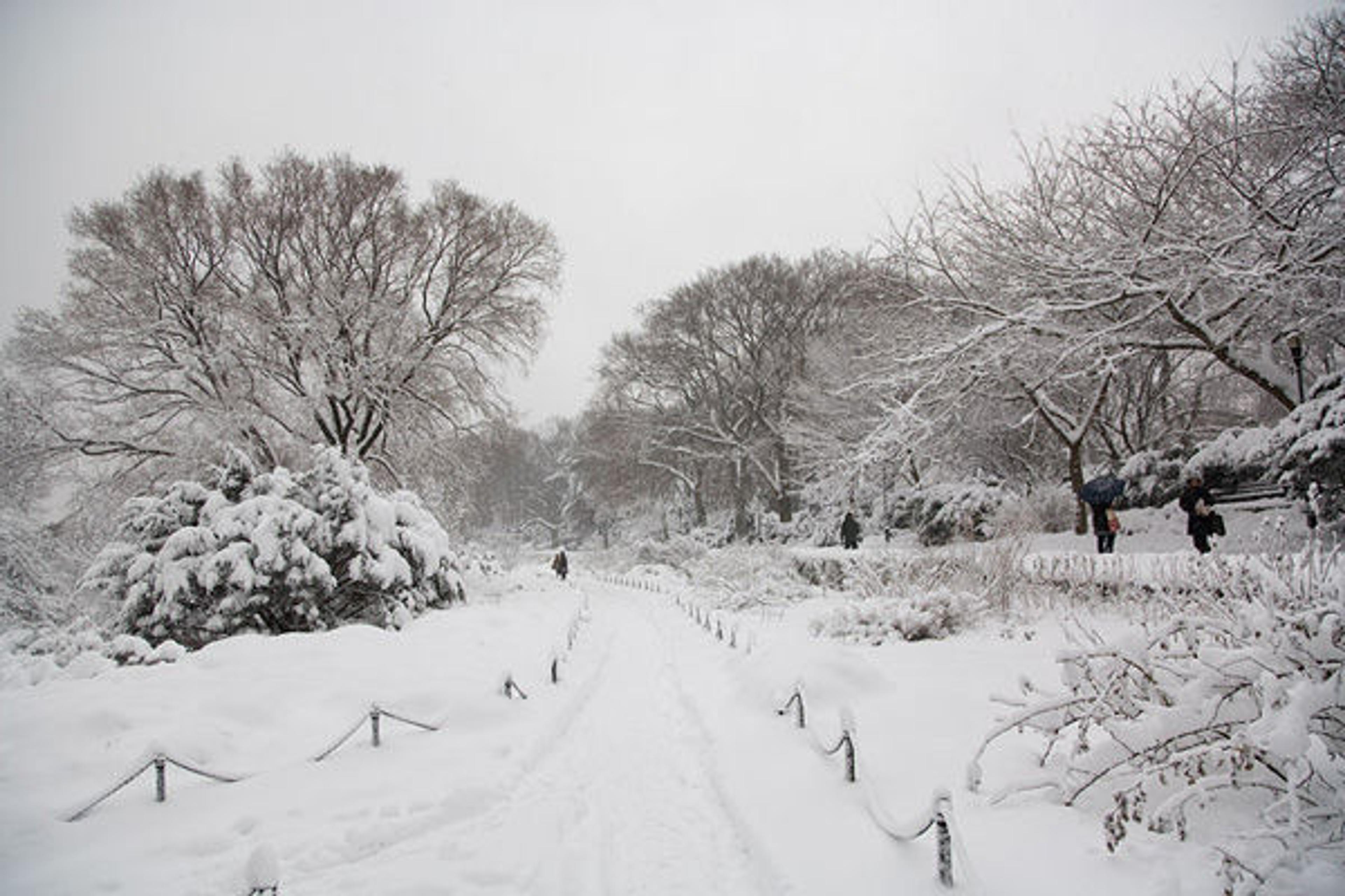 The Heather Garden’s central path. Photograph courtesy of Gabe Kirchheimer
