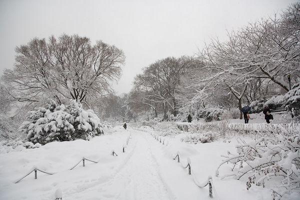 The Heather Garden’s central path. Photograph courtesy of Gabe Kirchheimer