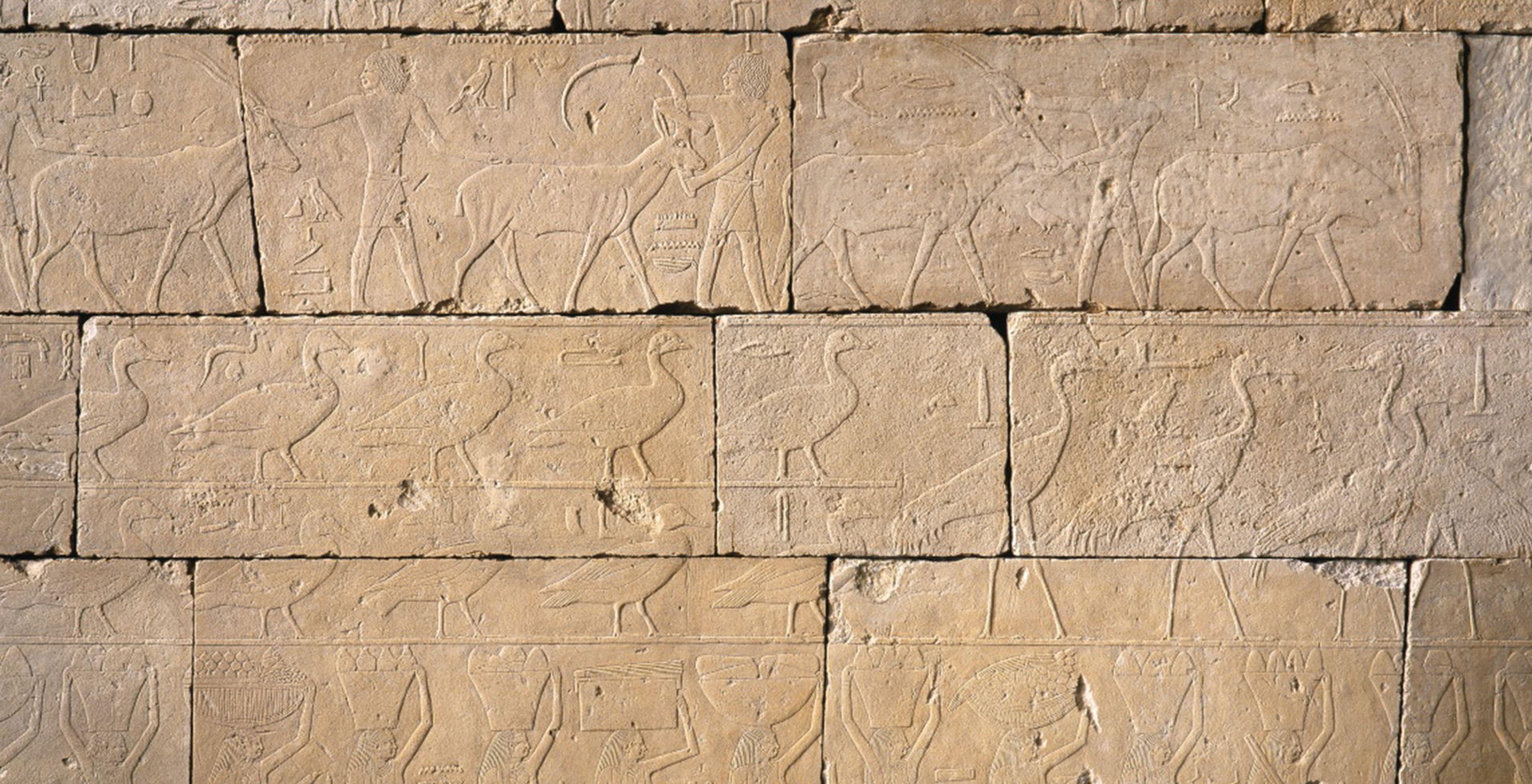 Photo of wall with hieroglyphics.