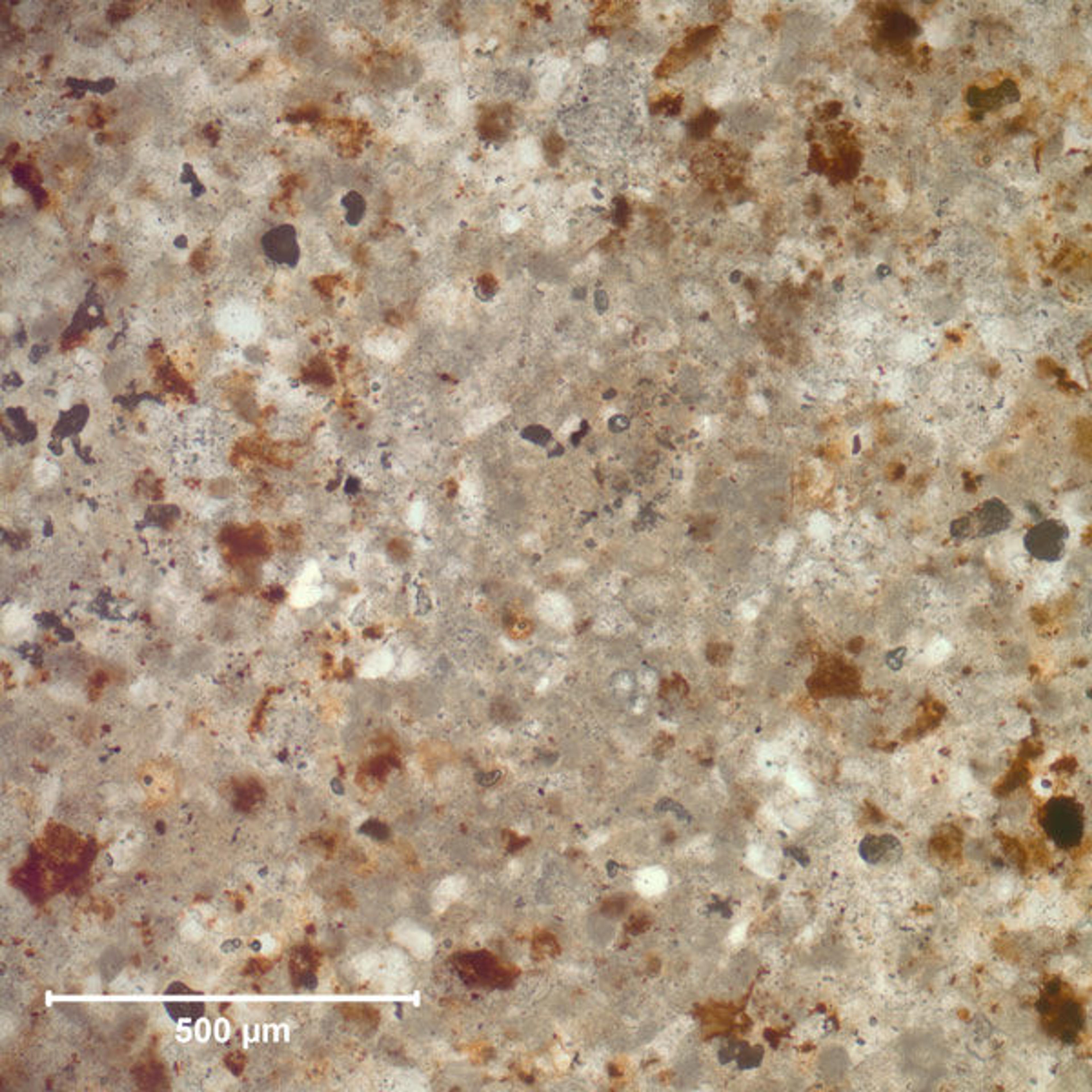 Thin-section slide of stone, identifying stone from Apremont