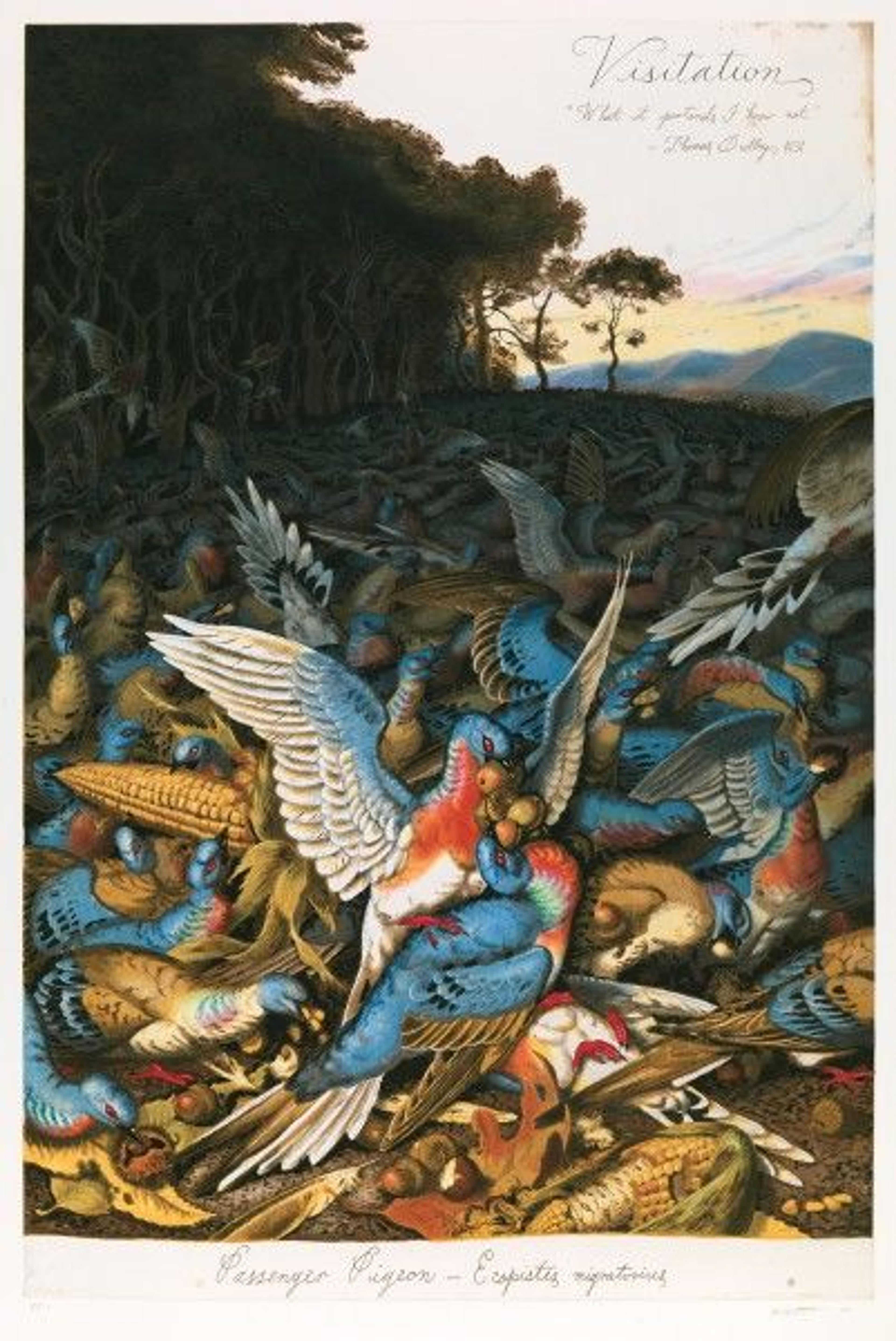Color etching by Walton Ford called