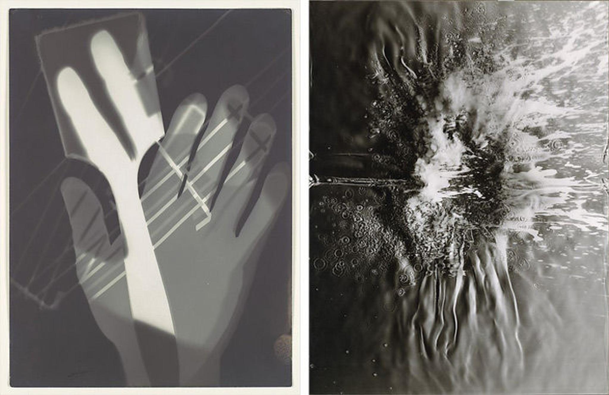 Make a Photogram: An Art Project for Sunny Days - The Metropolitan ...