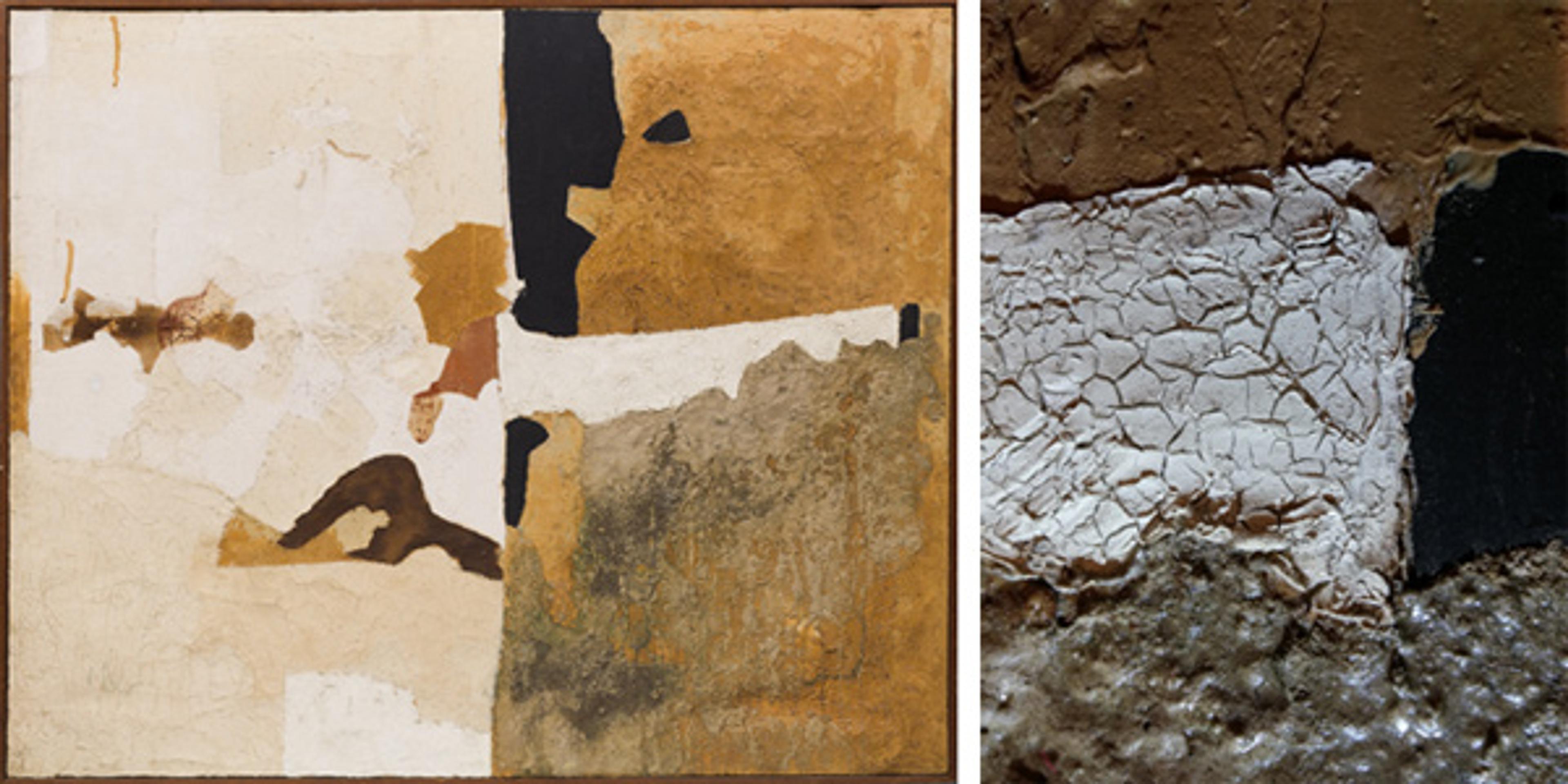 Left: Burri, Muffa T. Right: Micrograph.