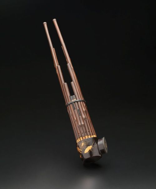 Image for Good Vibrations: Free-Reed Instruments at the Met
