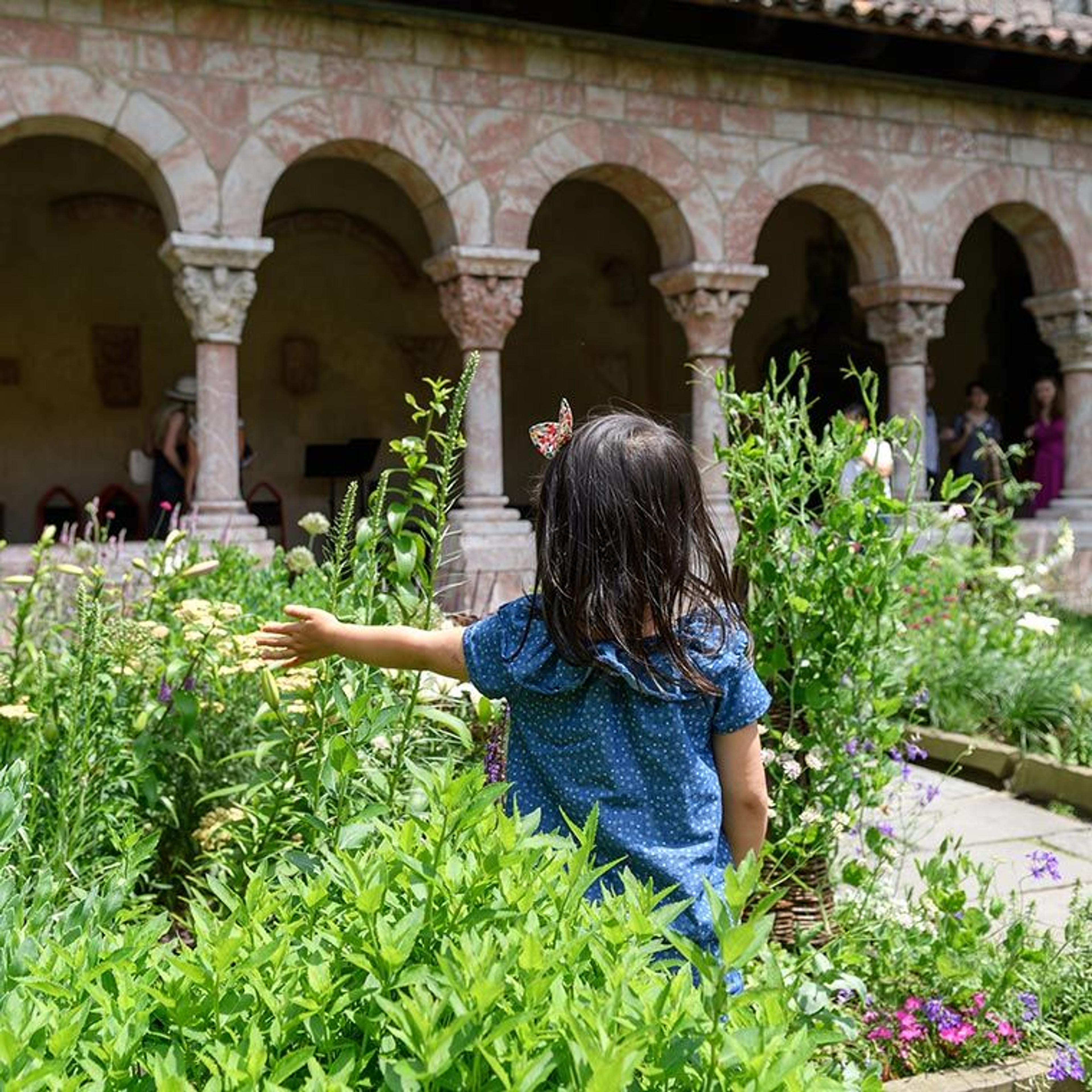 A young girl with her back turned to the camera stands in front of a garden bed in a medieval cloister.