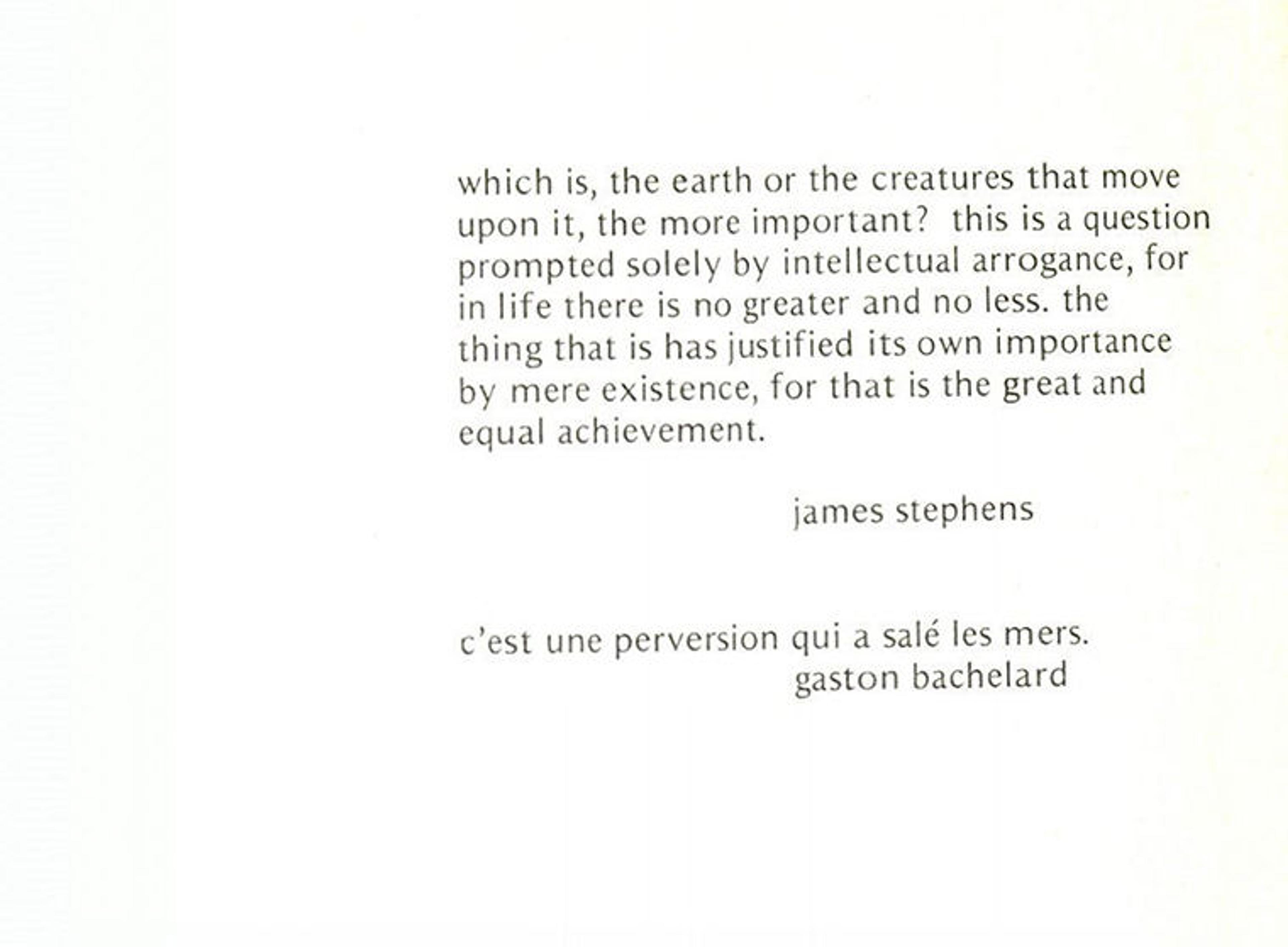 Boetti epigraph