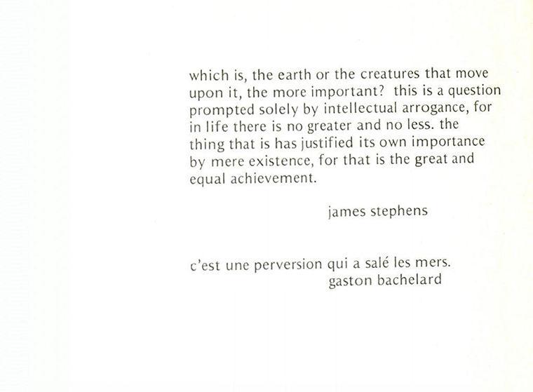Boetti epigraph