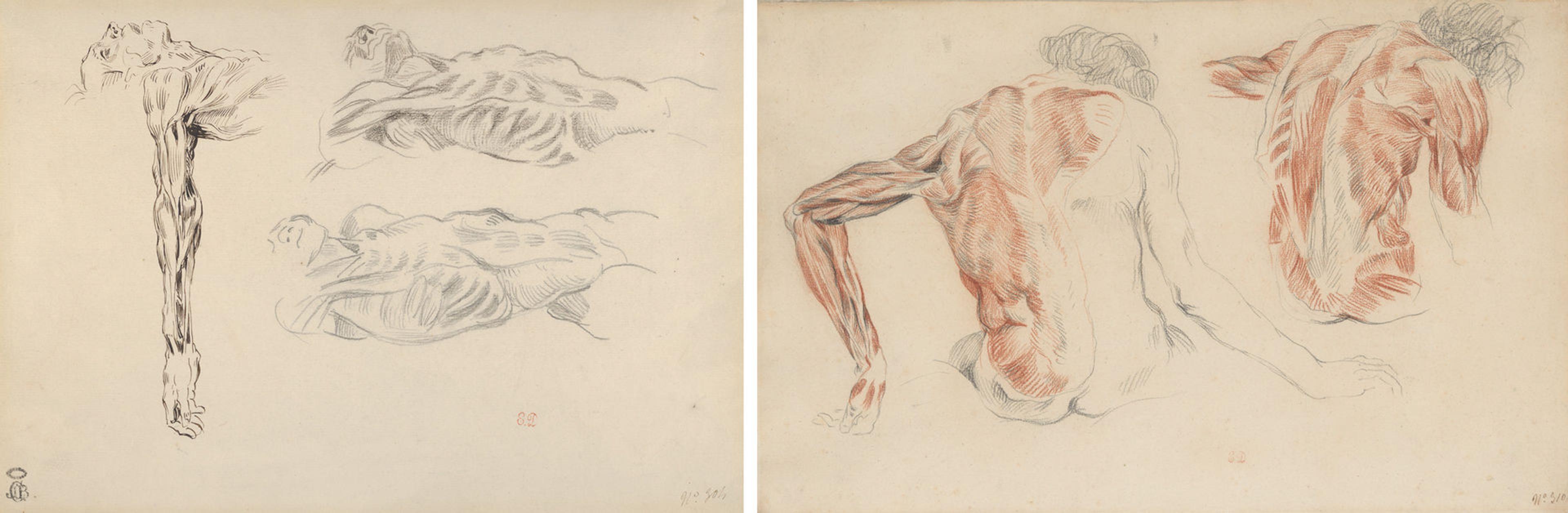 Two drawings of cadavers by Delacroix