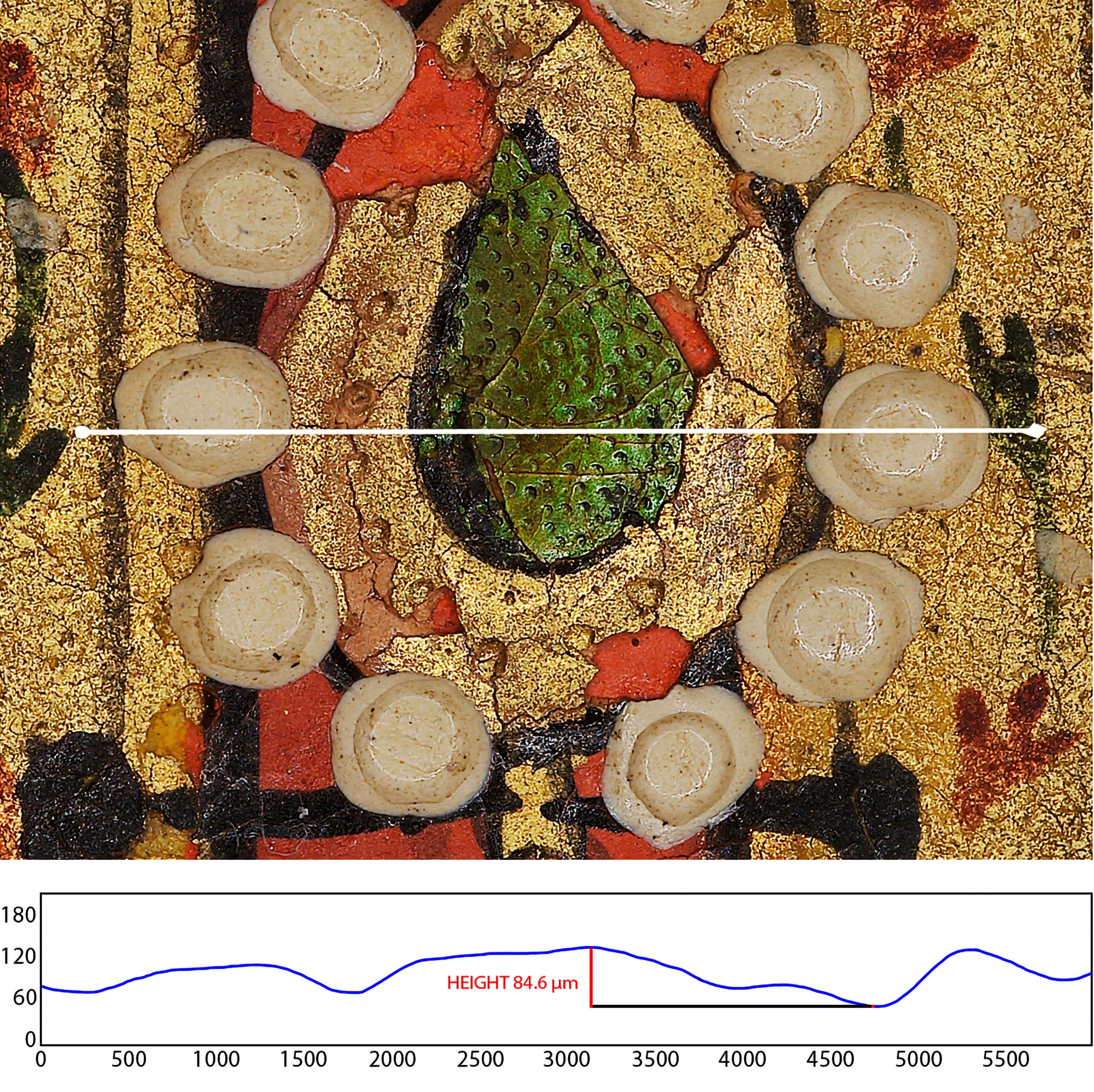 Graph showing topographical height variation of a cross section from Kalki Avatar. Annotations on the graph highlight the height variation around the elytra specifically, showing that this area has a range of 84.6 μm in height. A closeup image above the graph is superimposed with a line indicating the cross section location.