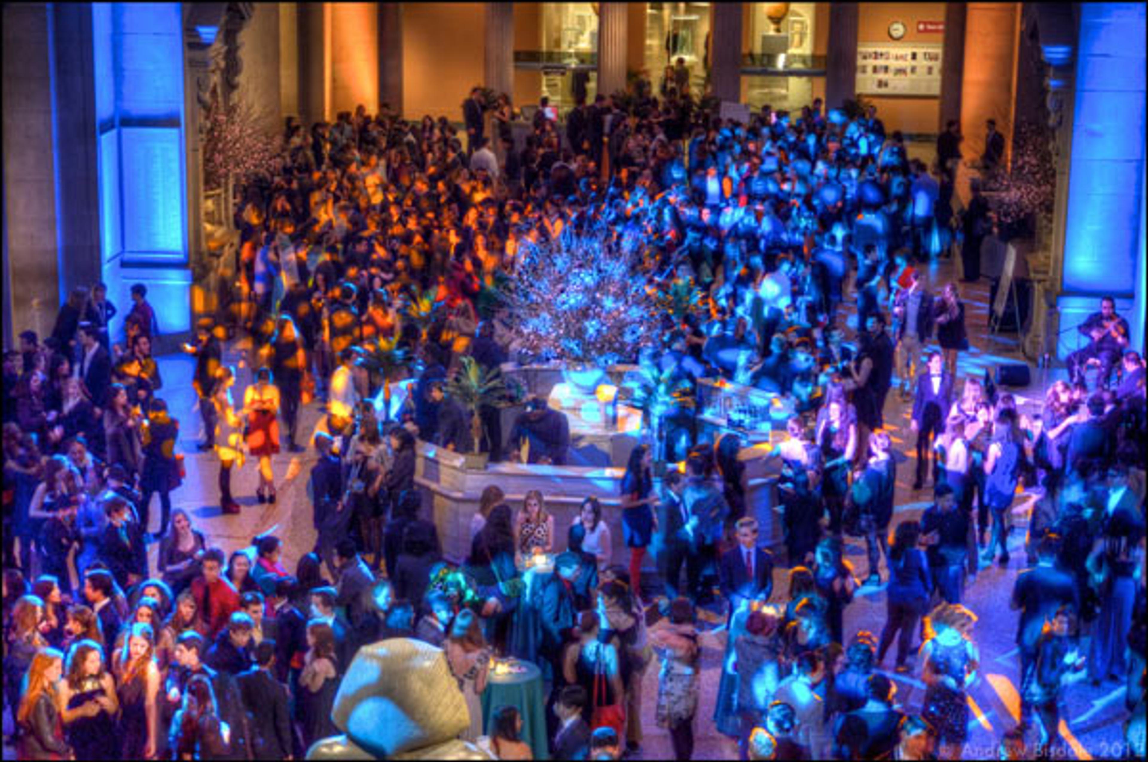 Photograph by Andrew Bisdale