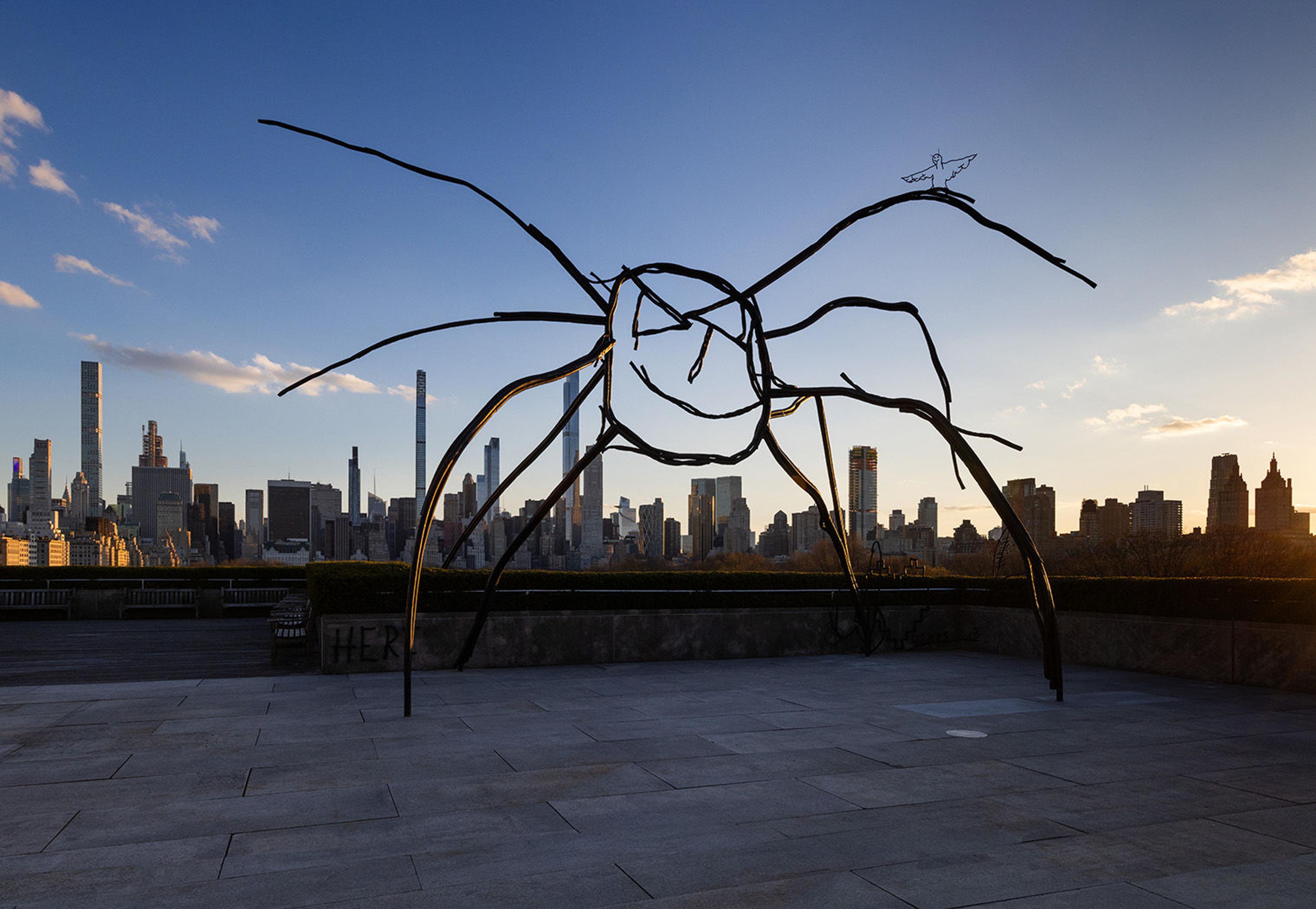Barbed spider, with the city skyline in the background with the blue skies and white clouds.