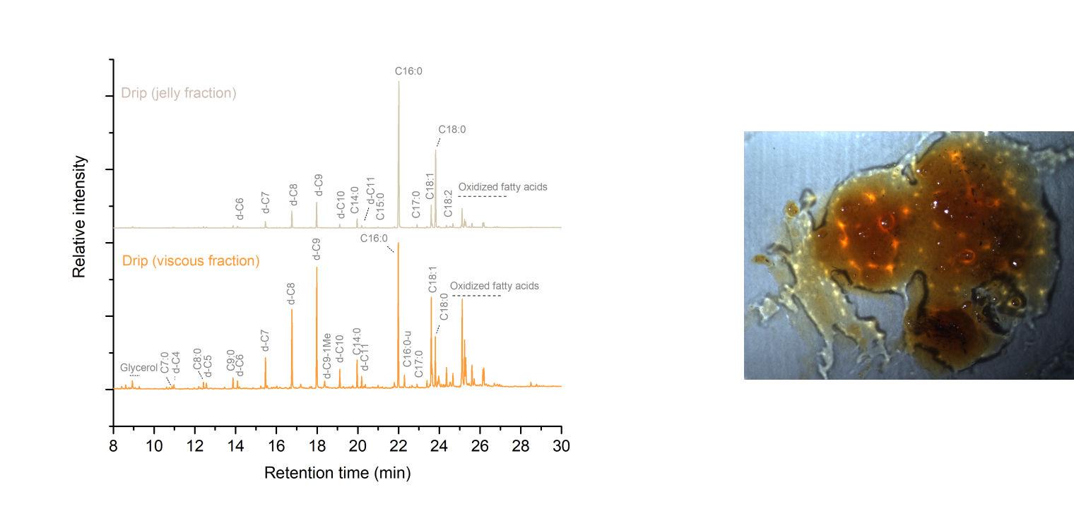Composition image: on the left a graph charts the relationship between retention time (x) and relative intensity (y) for drip jelly and viscous fractions, and on the right a close-up view of golden-colored residue.