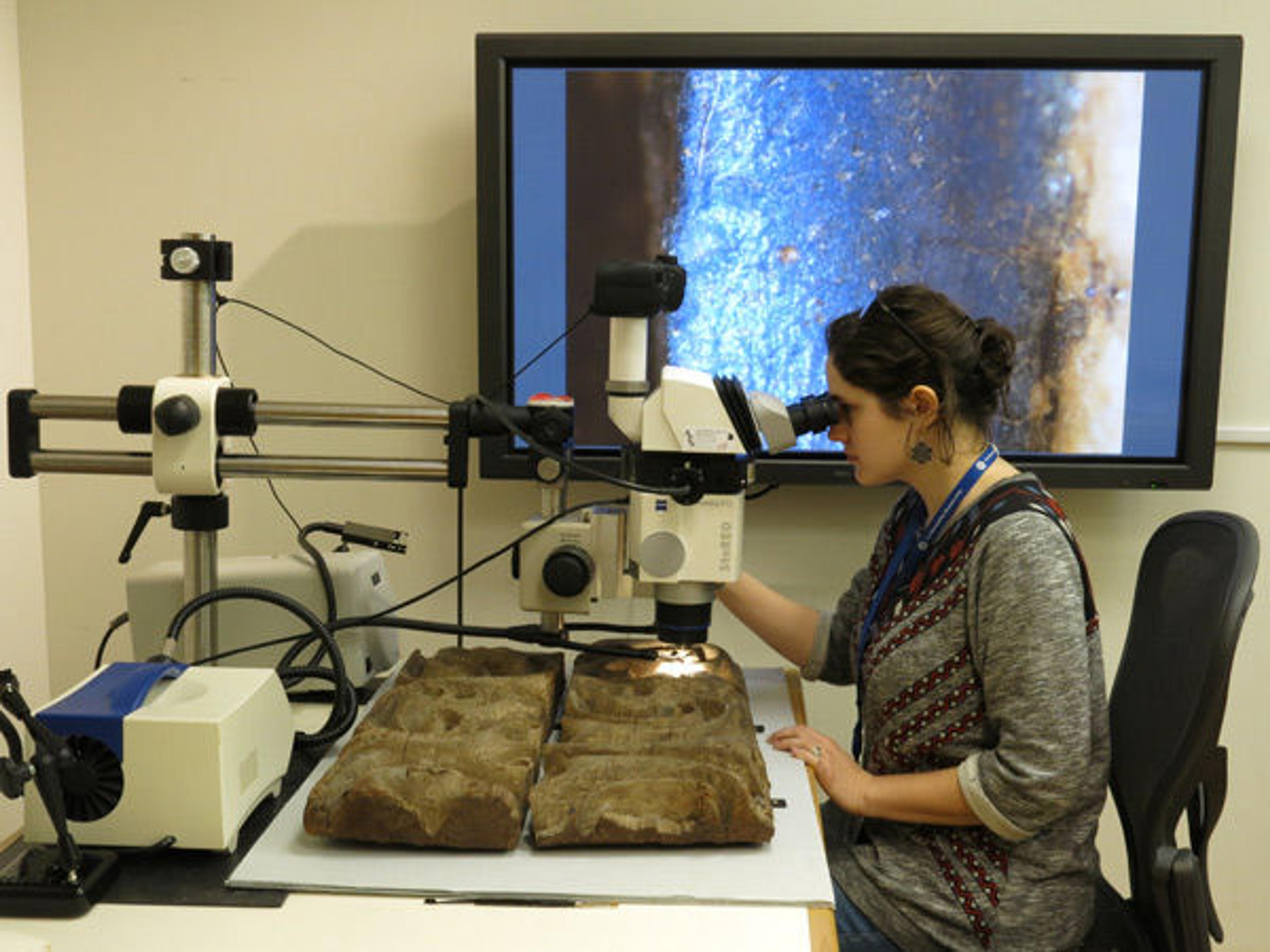 Conservation Intern Gaëlle Gantier examines wooden panel 32.102.1,2 under a stereo microscope. The image on the screen behind her shows the blue paint under high magnification—the projected live-view of the camera attached to the microscope.