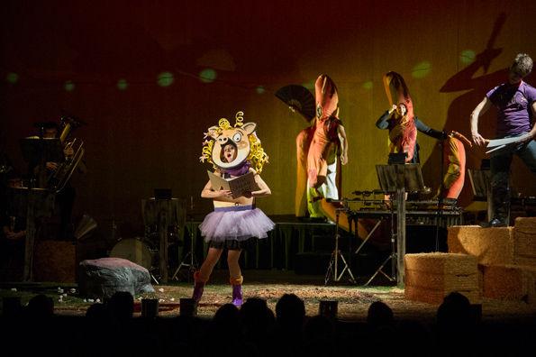Gloria—A Pig Tale. Photo by Paula Lobo