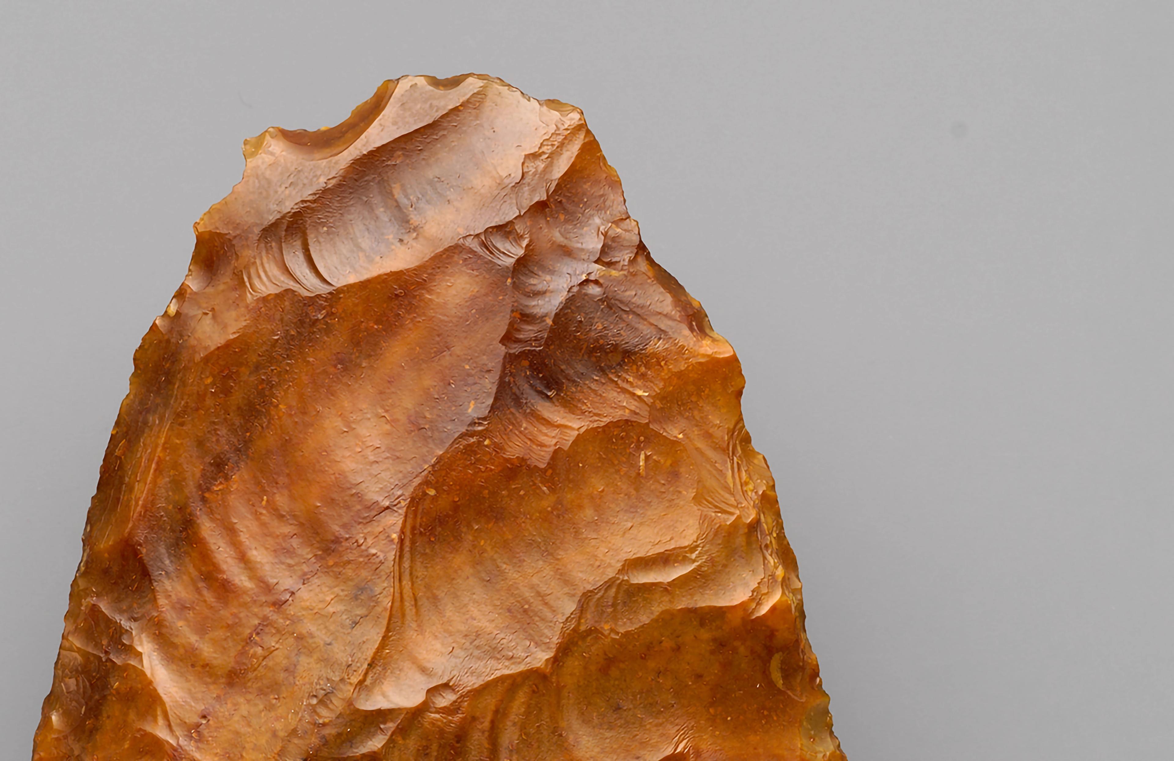 Detail of a stone biface, shining almost like a polished wood.