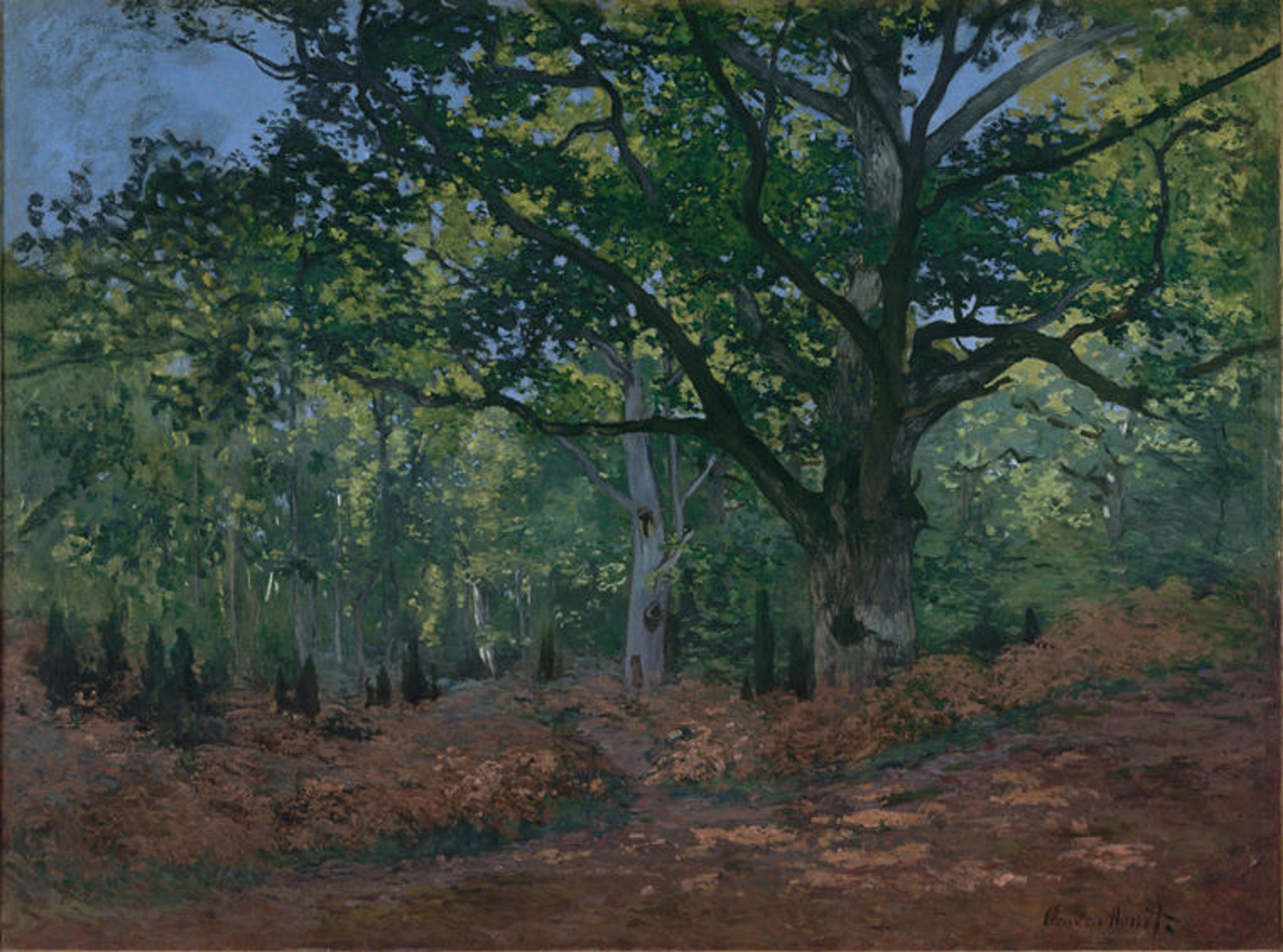 Oil painting by Claude Monet depicting an oak tree in Paris's Fontainebleau Forest