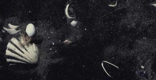 Image for _Immaterial_: Trash