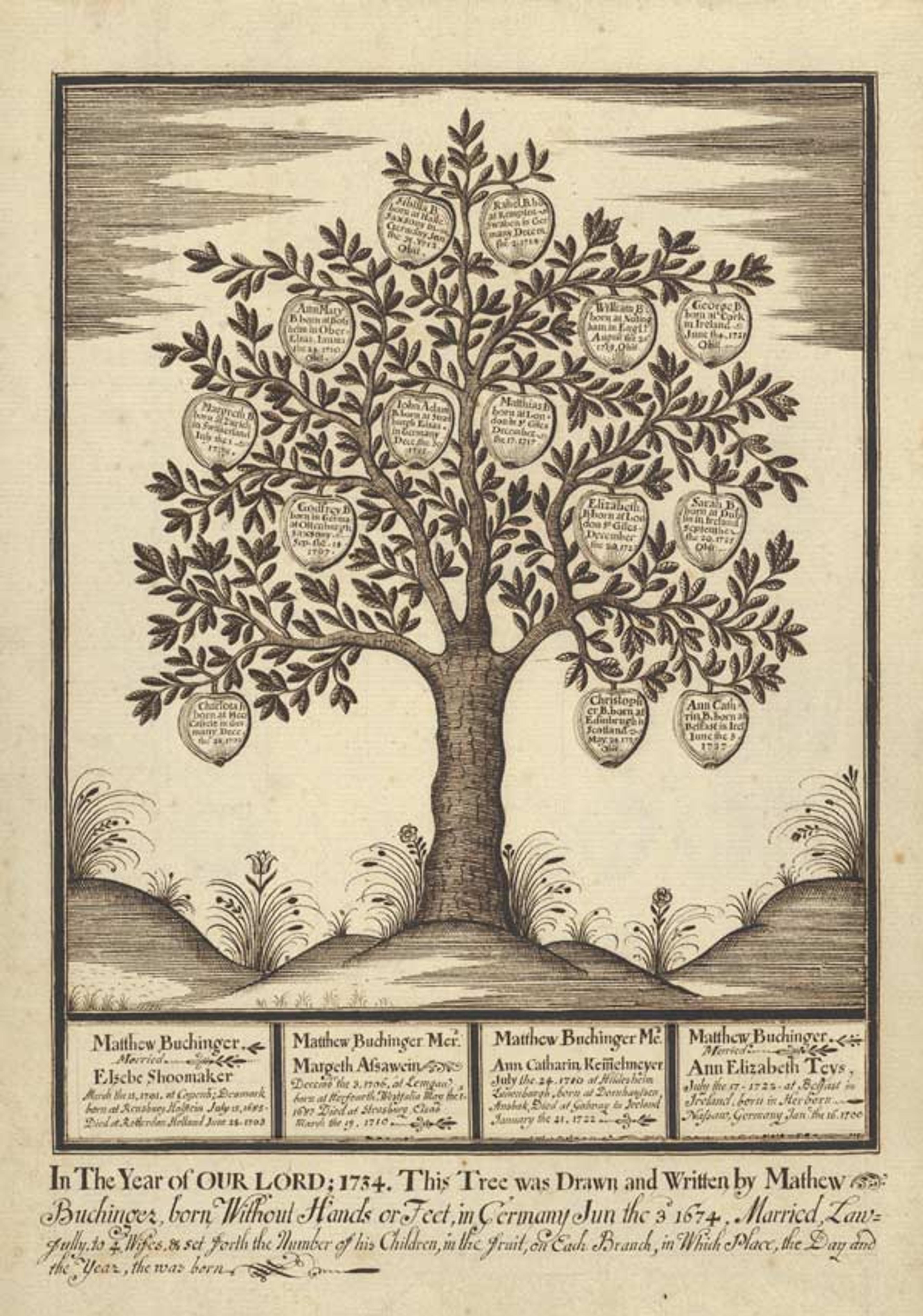 Buchinger Family Tree